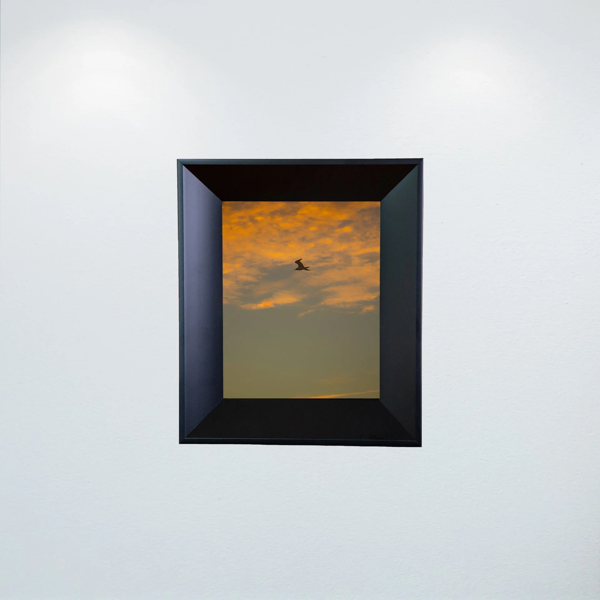 1:1 Seagull Flying with Orange Clouds- Mini.jpg