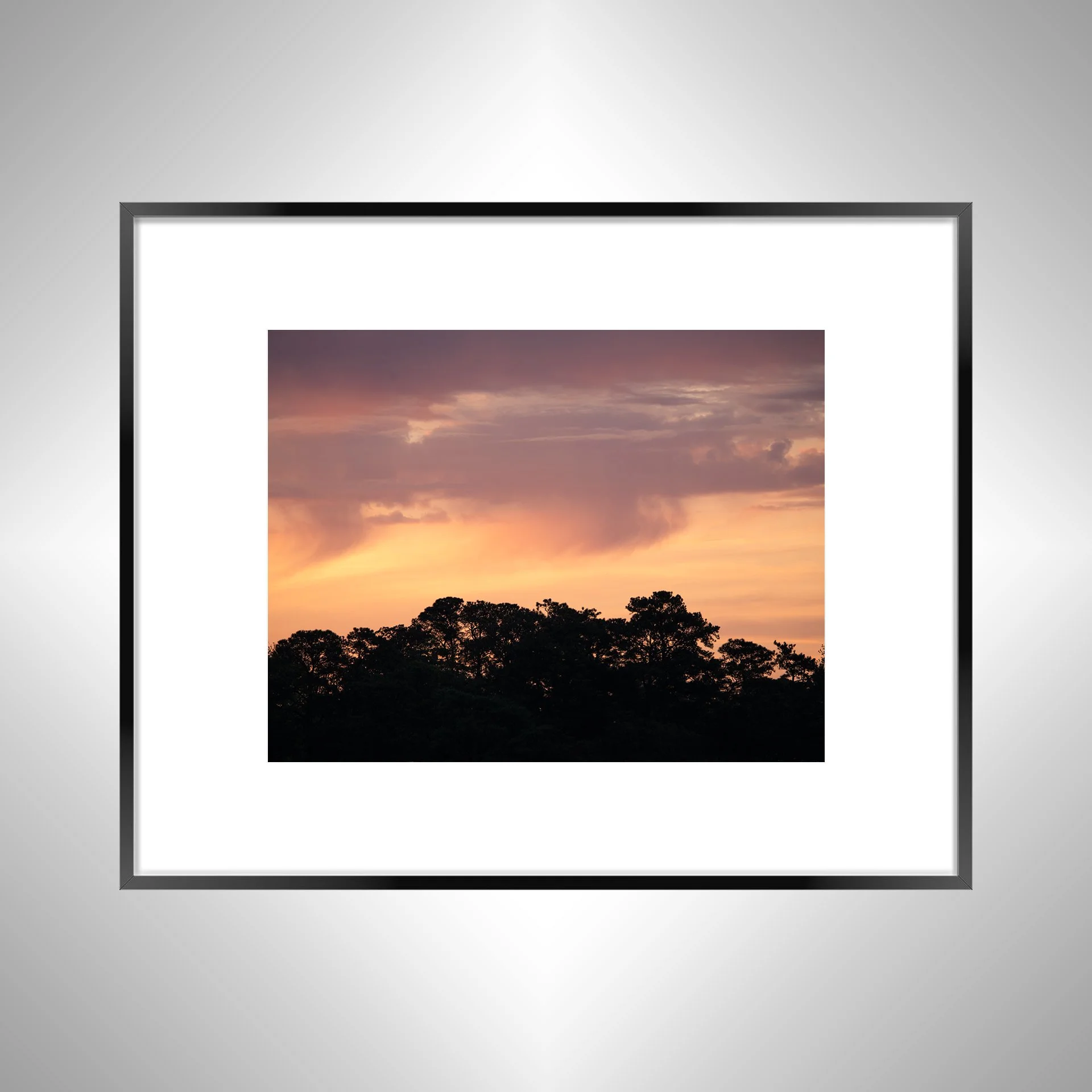 1:10 Orange & Gold Sunrise Sky Behind Trees- Black w: Border.jpg