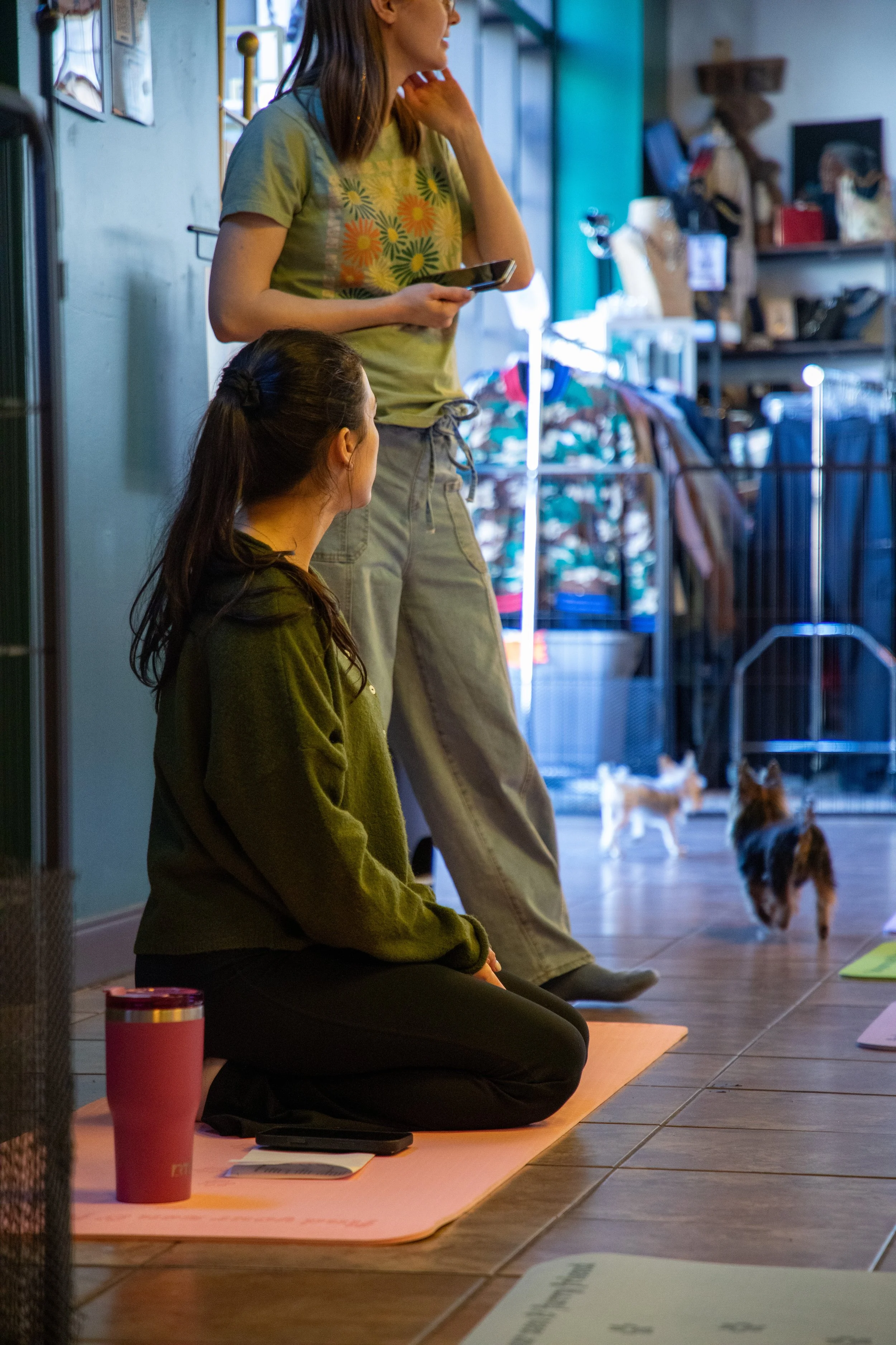 Marketing and Event Photography by Will Locke. Two women in a yoga or meditation class, one sitting on a mat and the other standing, with small dogs in the background.