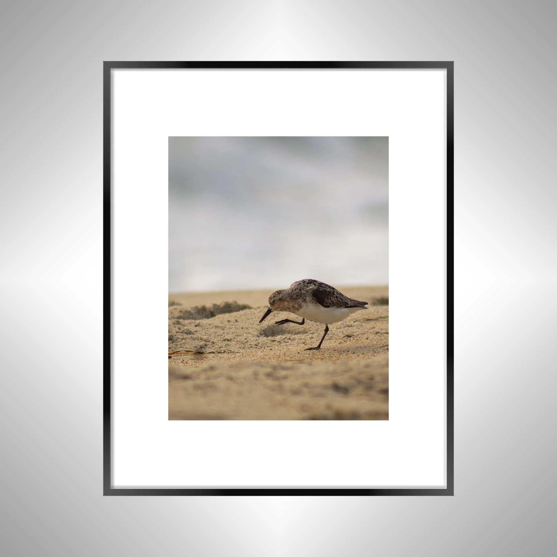 1:1 Itchy Willet- Black Metal w: Border.jpg