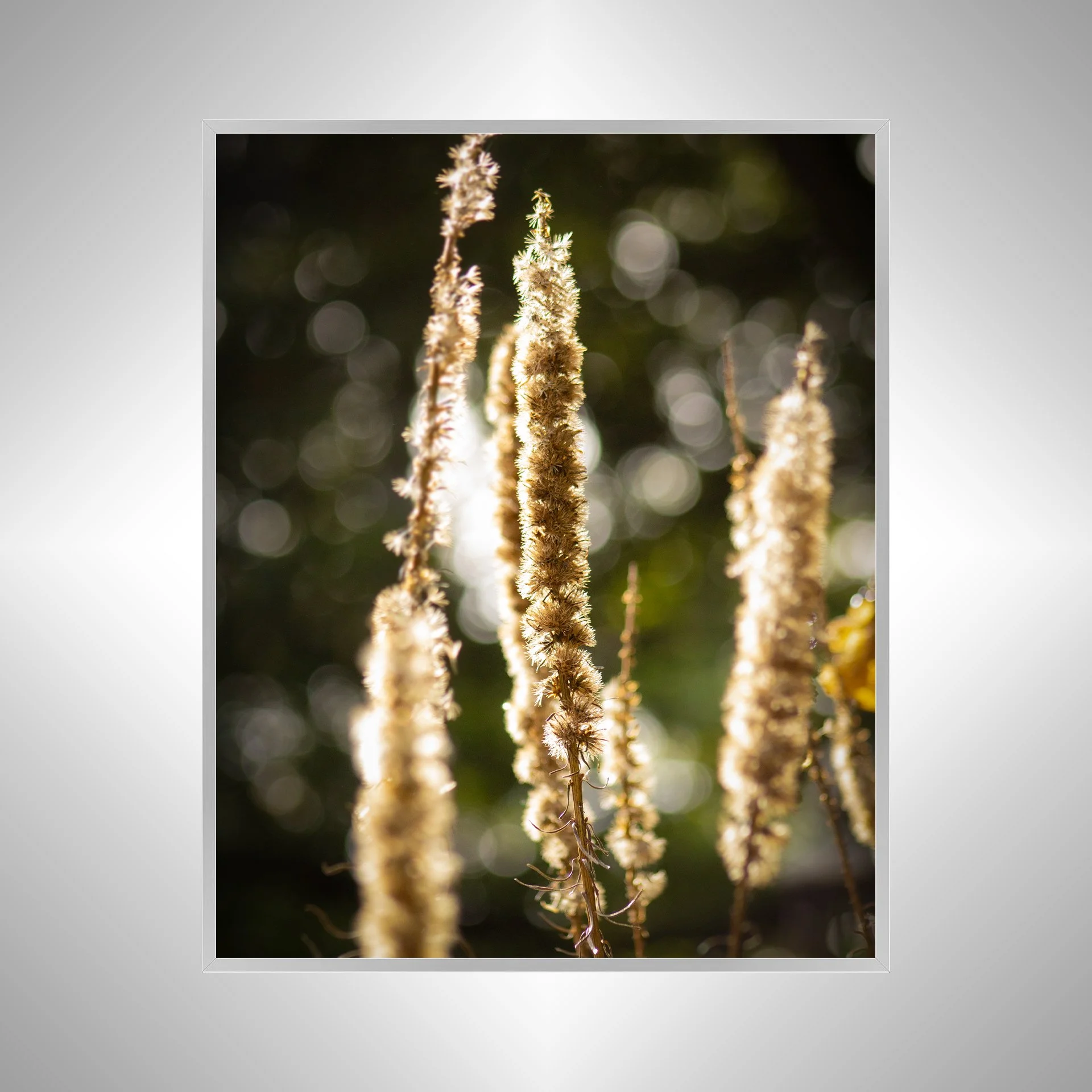 1:1 Group of Foxgloves in Winter- Silver Metal.jpg