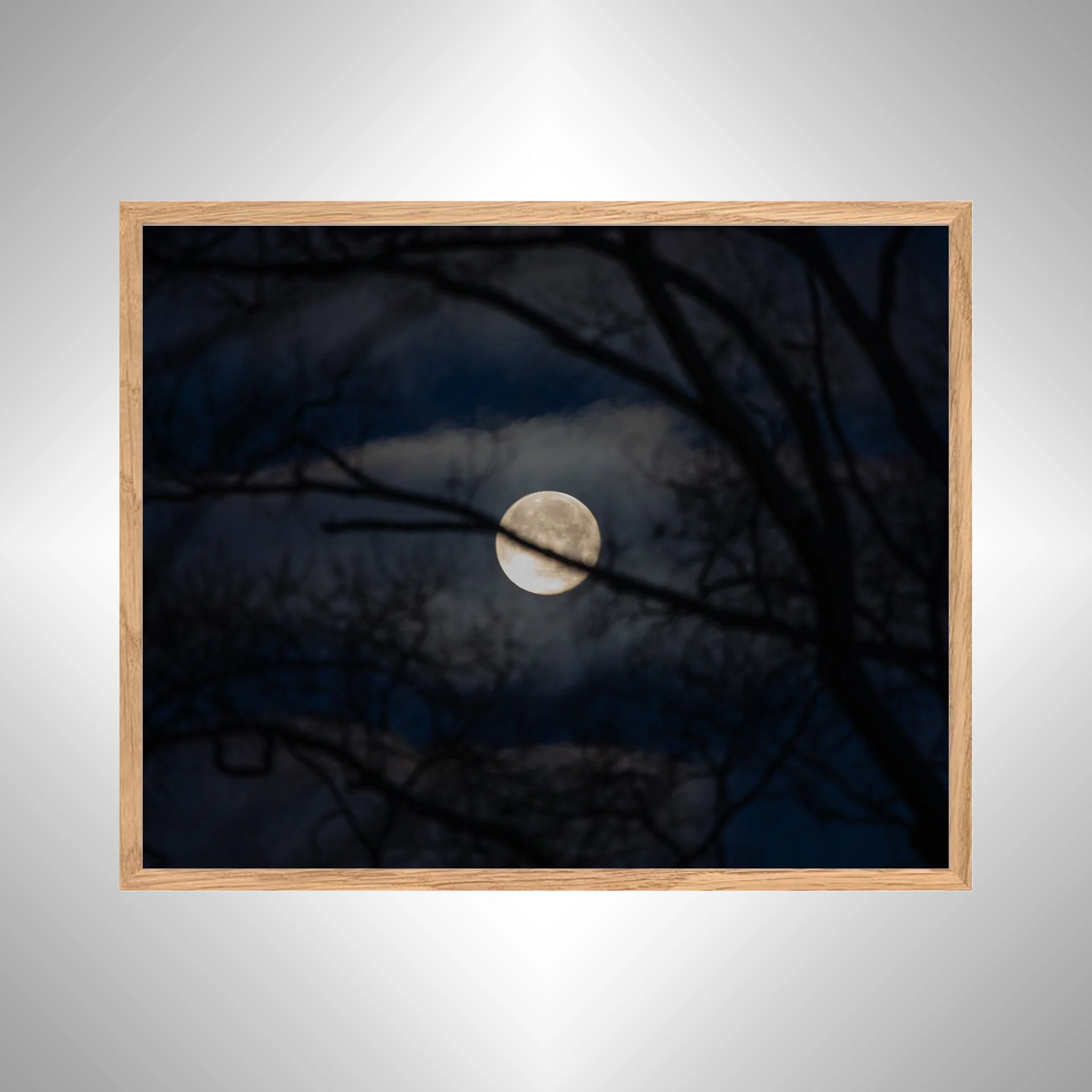 1:1 Moon thru Tree Branches- White Wood copy NATTY.jpg