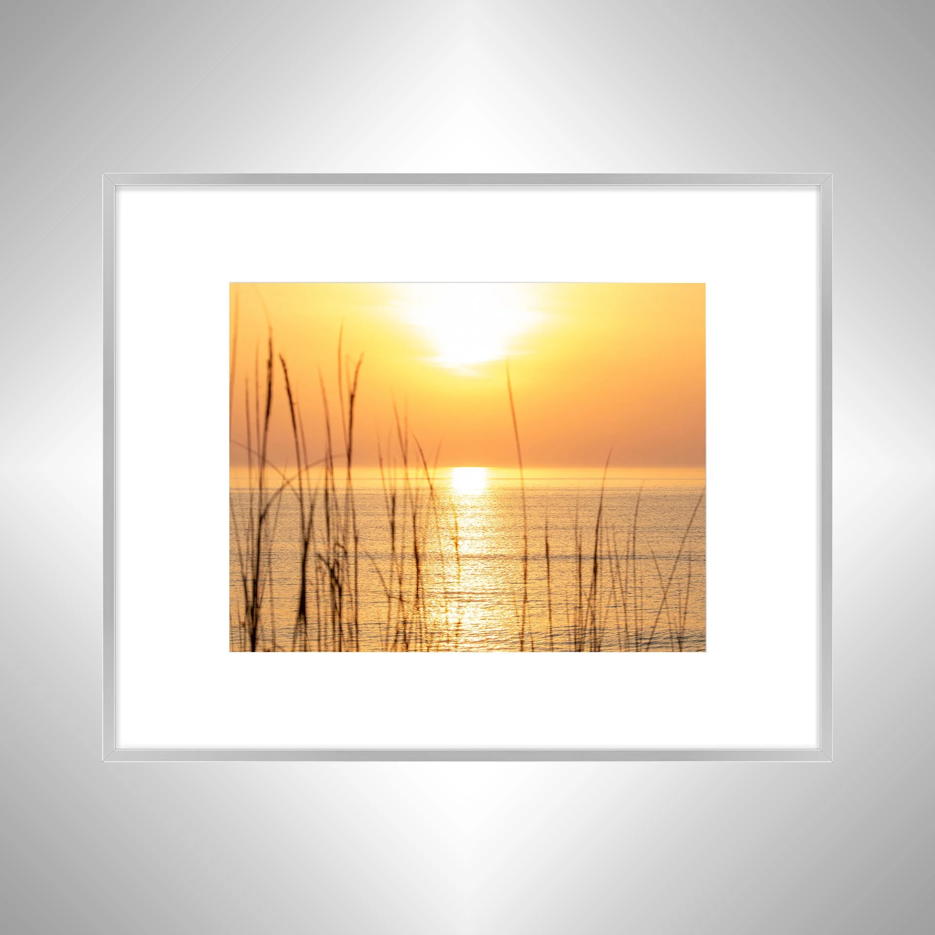 1:1 Sunrise thru Dunegrass- Silver w: Border.jpg
