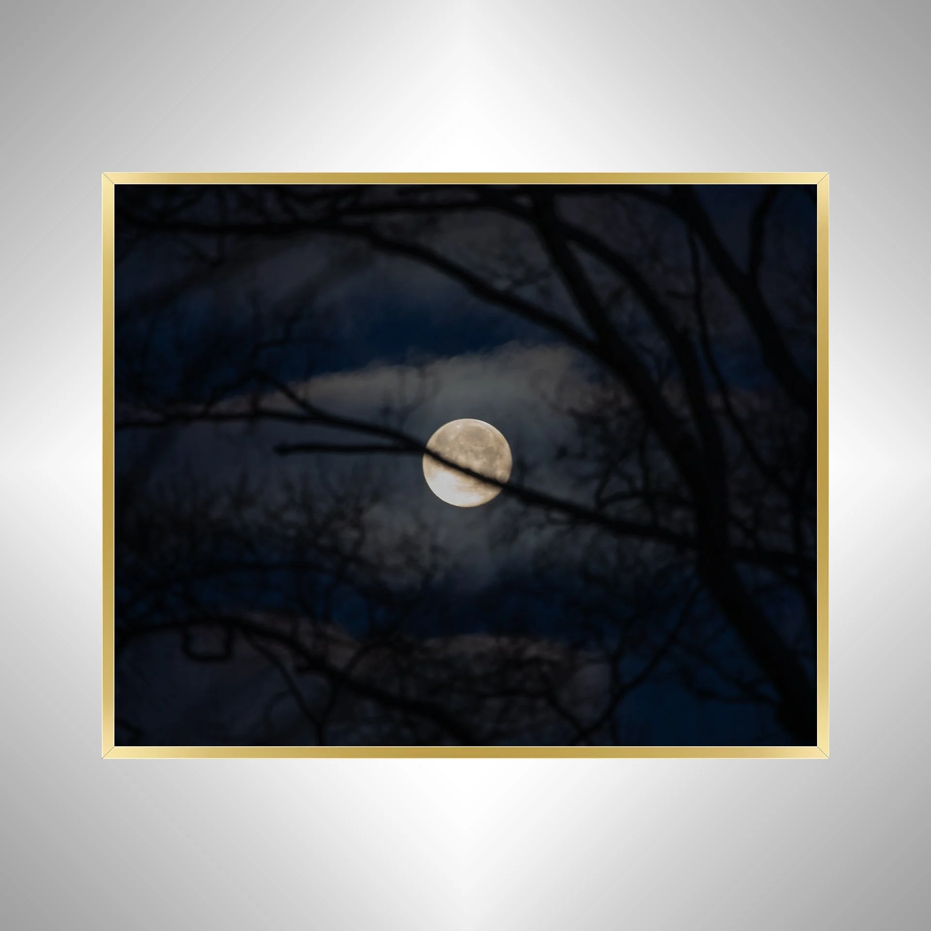 1:1 Moon thru Tree Branches- Gold Metal.jpg