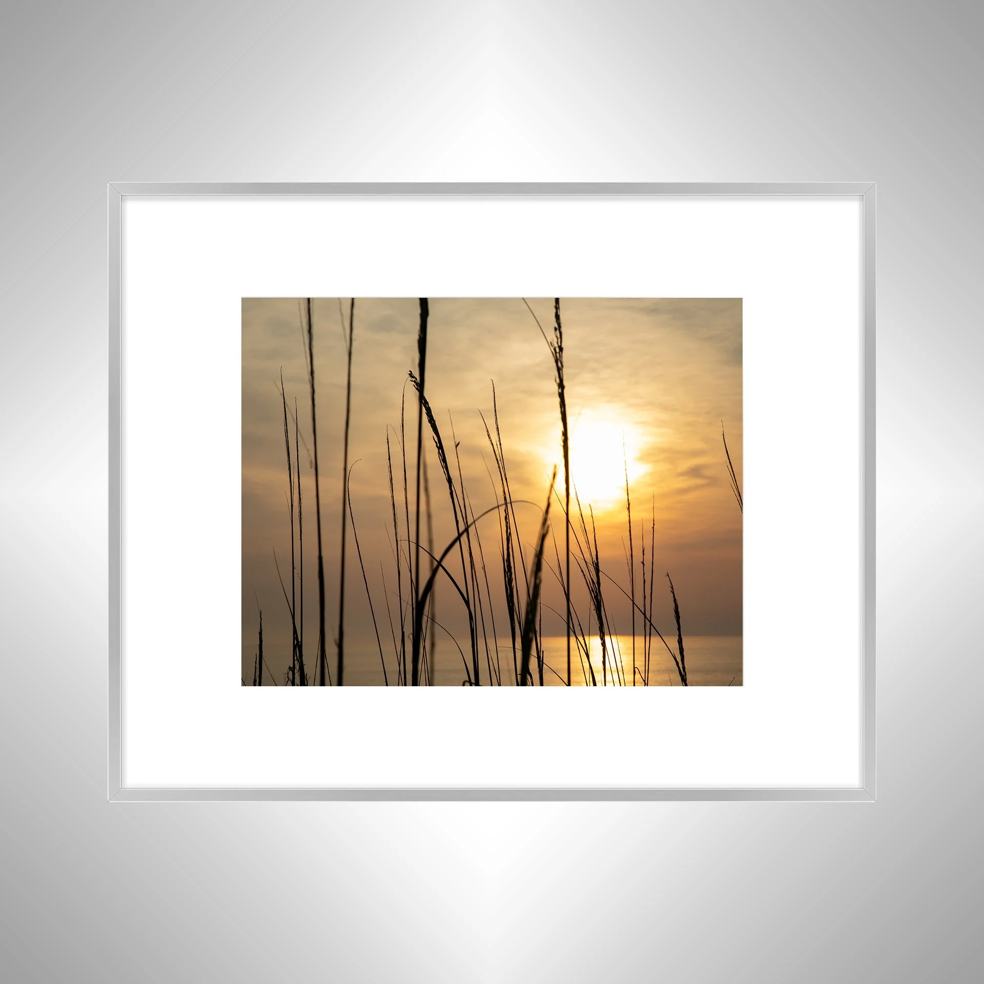 1:1 Sunny Morning thru Dunegrass- Silver w: Border.jpg