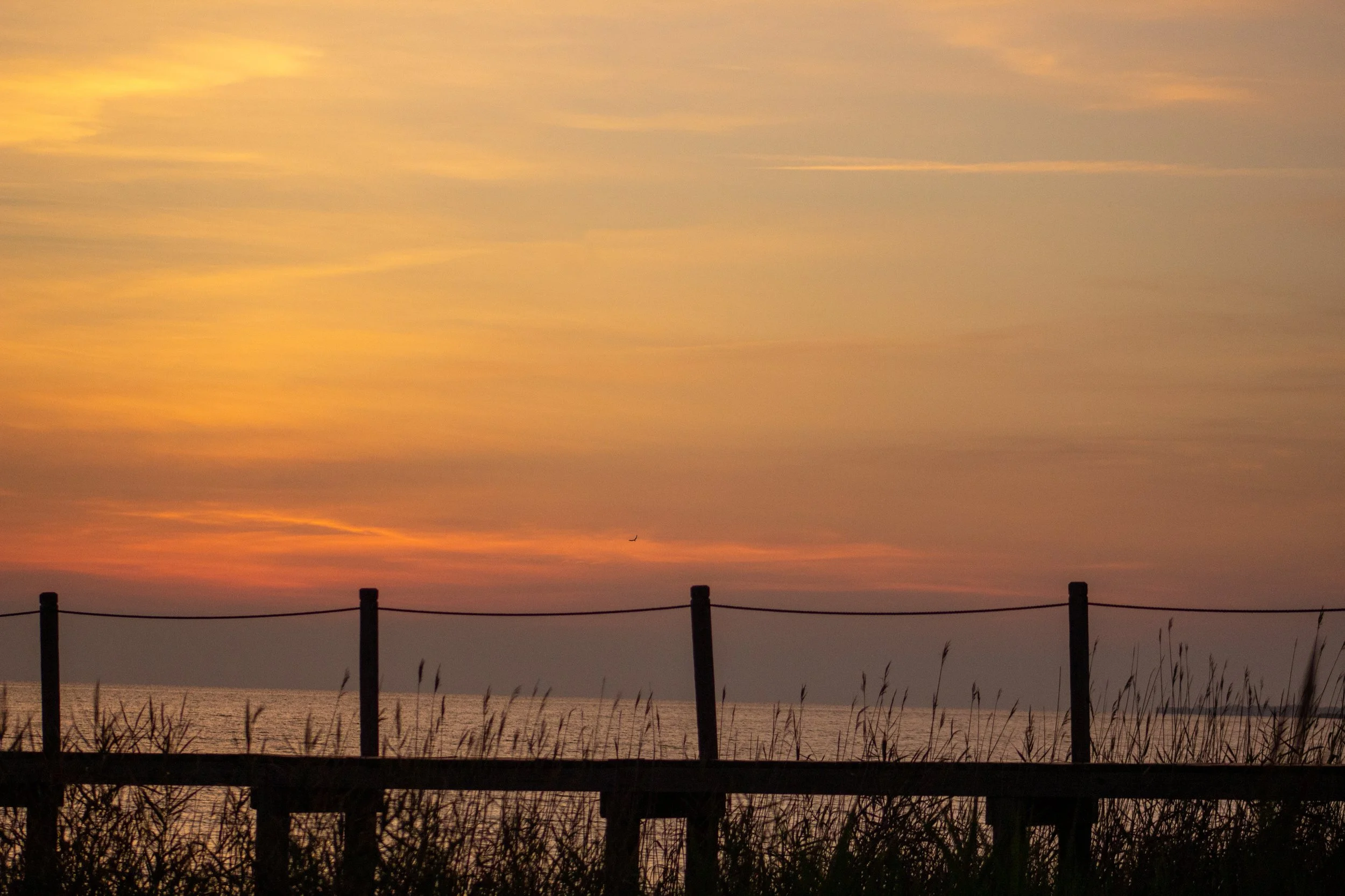 1:1 Sound Sunset with Seagull, Pier and Oats.jpg