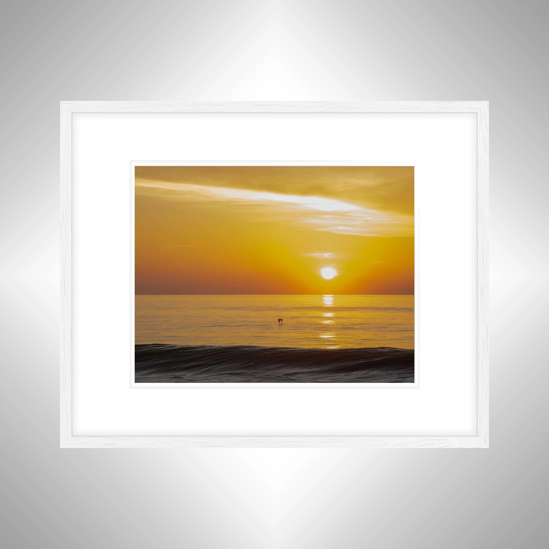 1:1 Sea 'Gull Soaring- White w: Border.jpg