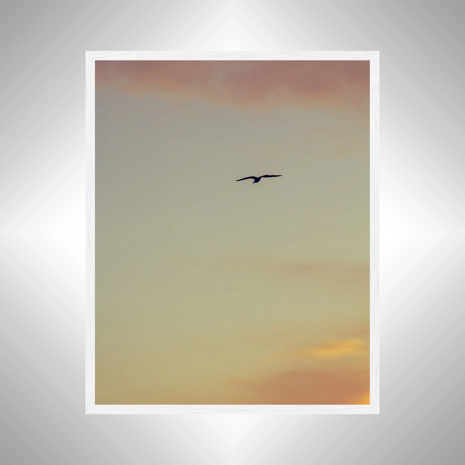 1:1 Seagull Soaring towards Pink & Orange Clouds- White.jpg