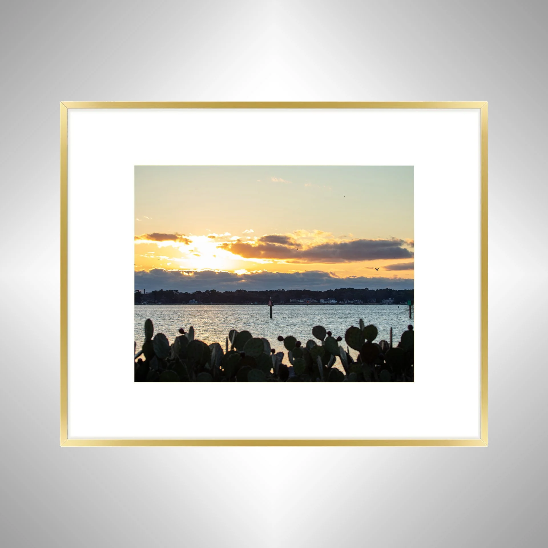 1:1 Lafayette River at Sunrise with Seagull- Gold Metal w: Border.jpg