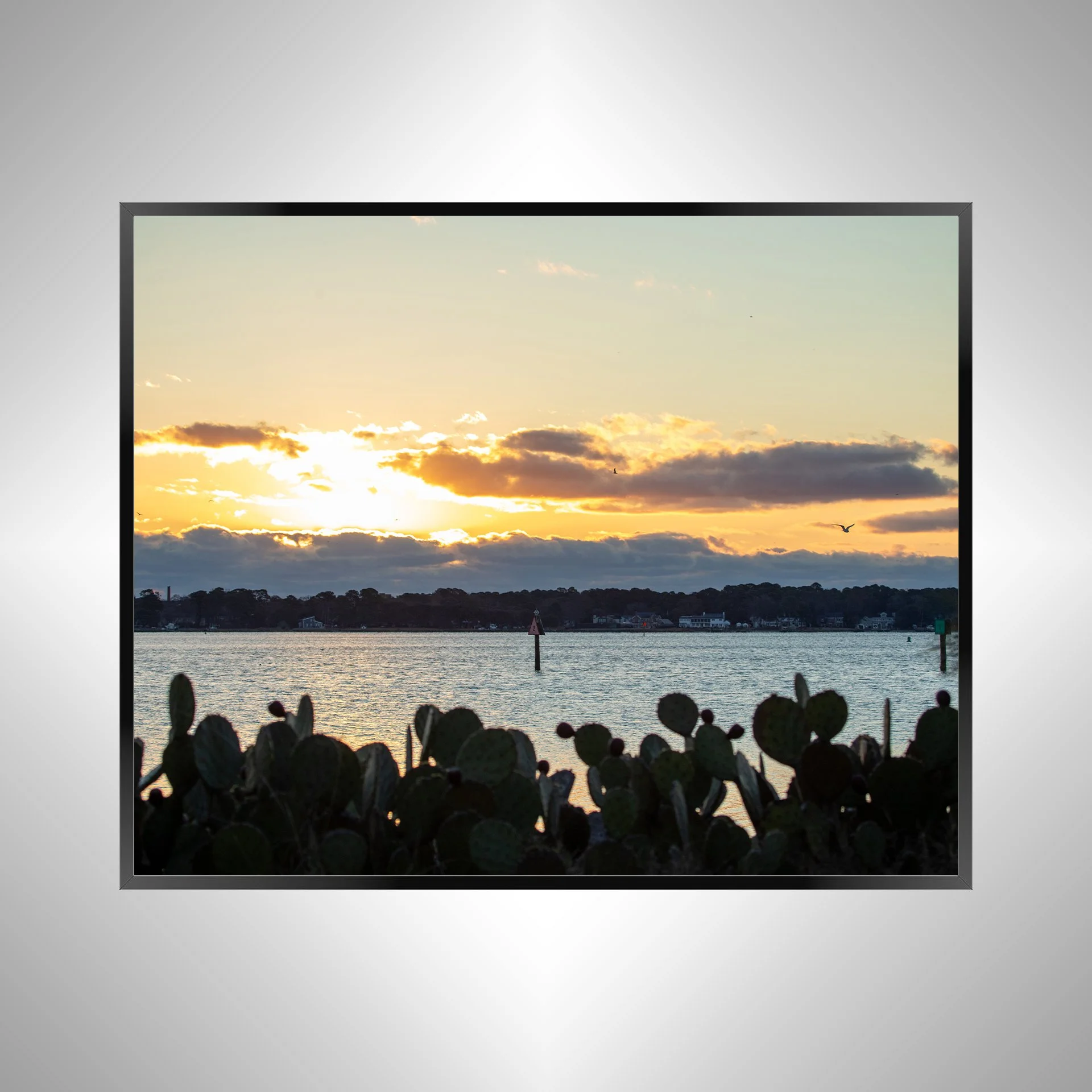 1/1 Lafayette River at Sunrise with Seagull