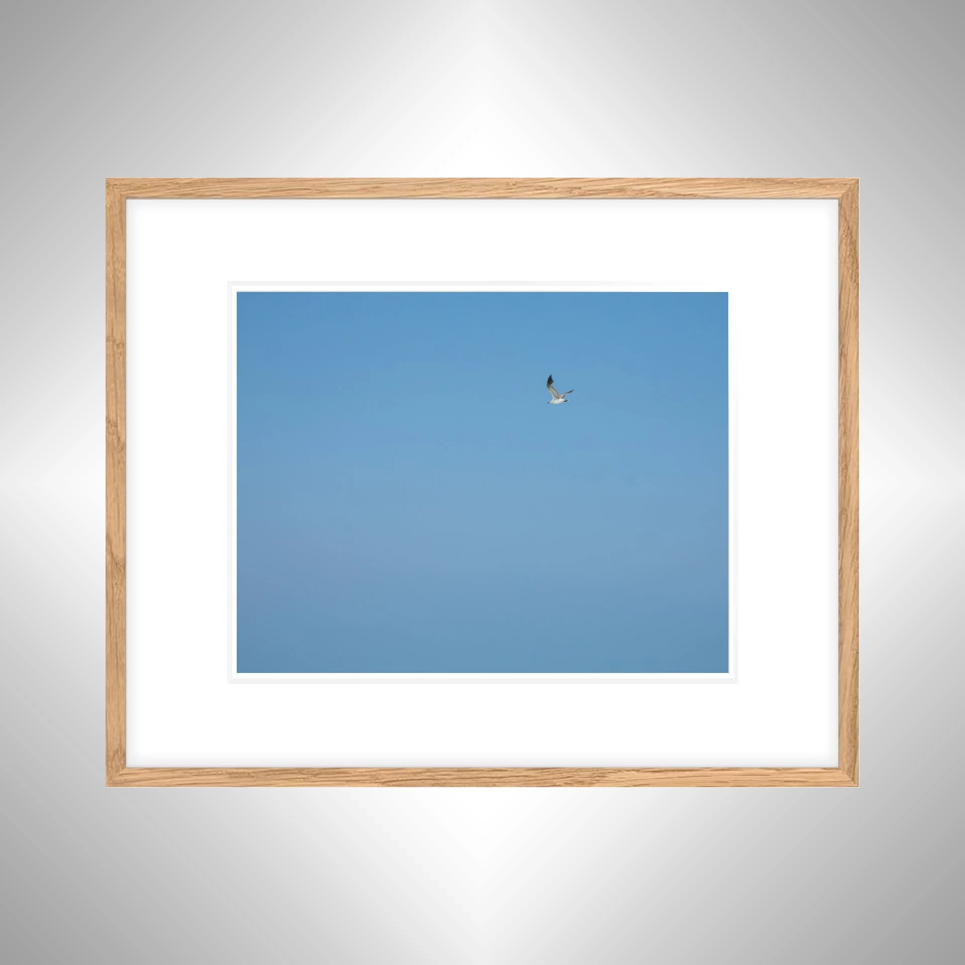 1:10 Blue Sky Seagull- White w: Border copy NATTY.jpg