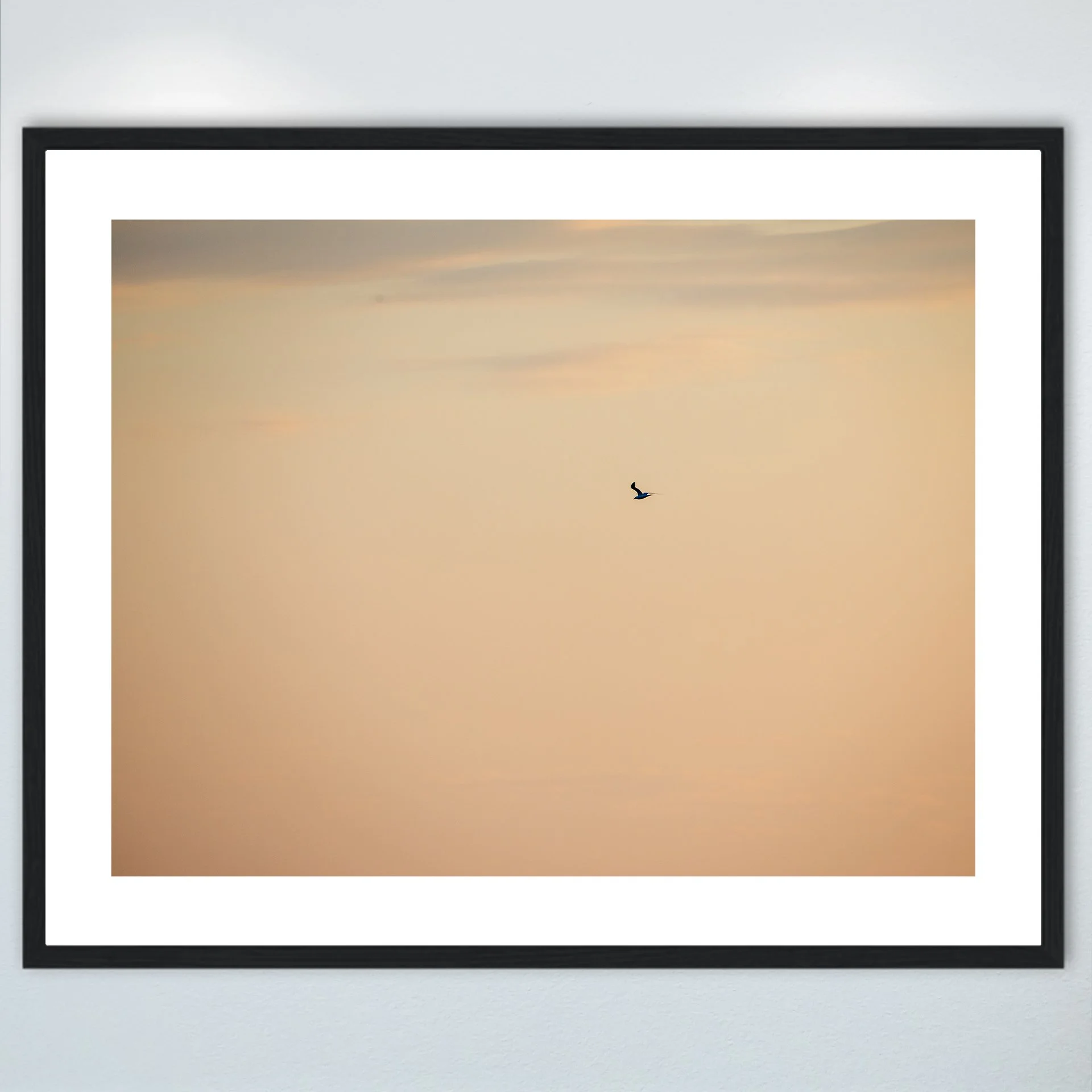 1:1 Orange Seagull- Wood w: Border.jpg