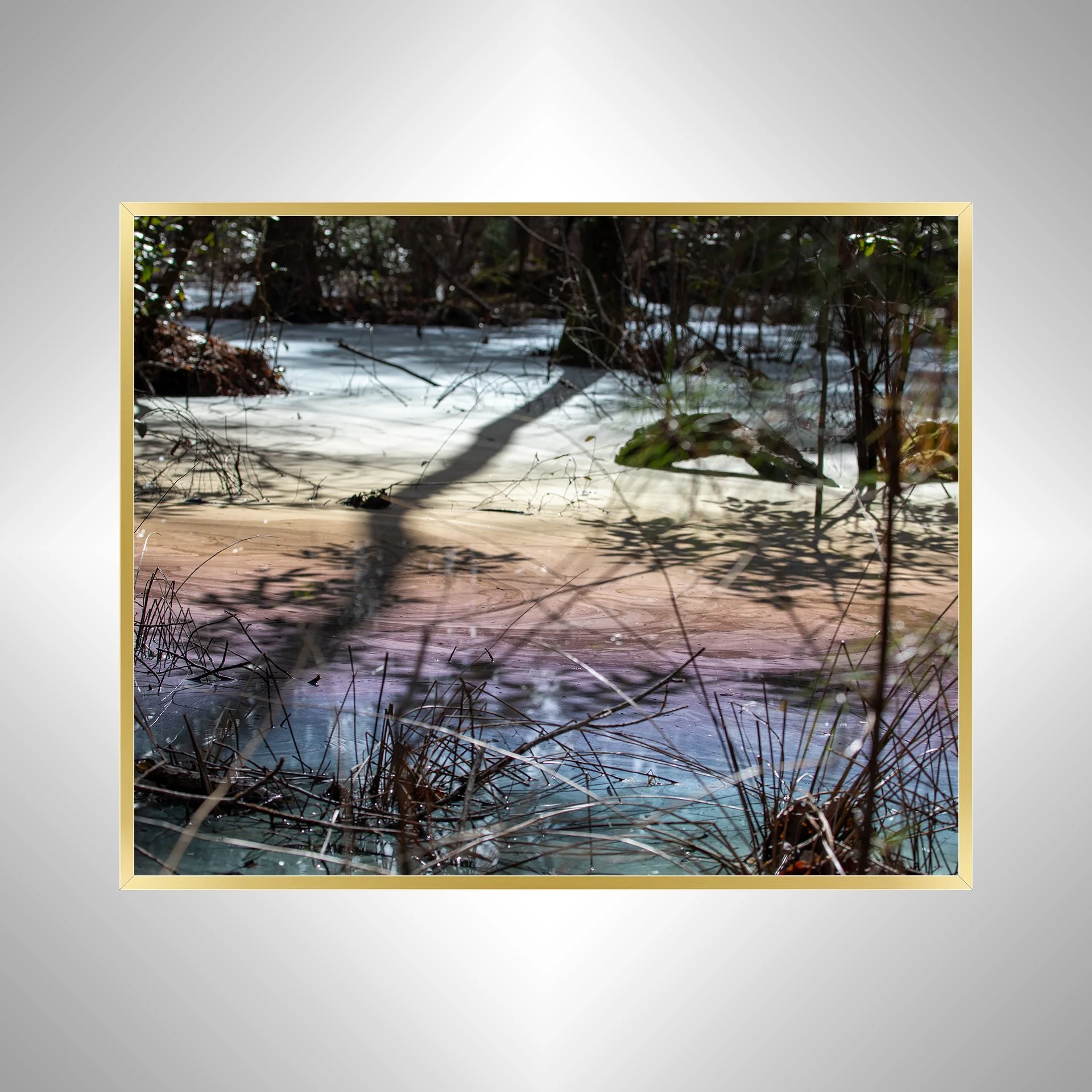1:1 Rainbow Water at Seashore State Park- Gold.jpg