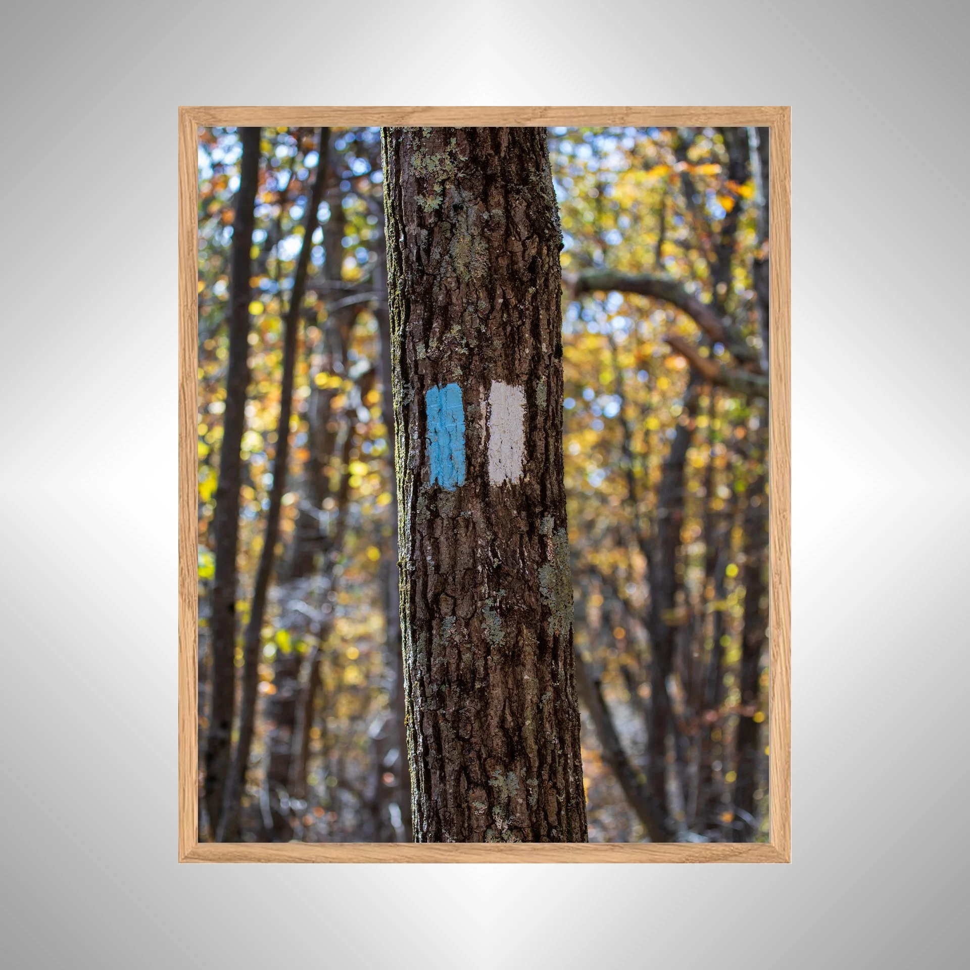 1:1 Appalachian Trail Blaze- White Wood copy NATTY.jpg