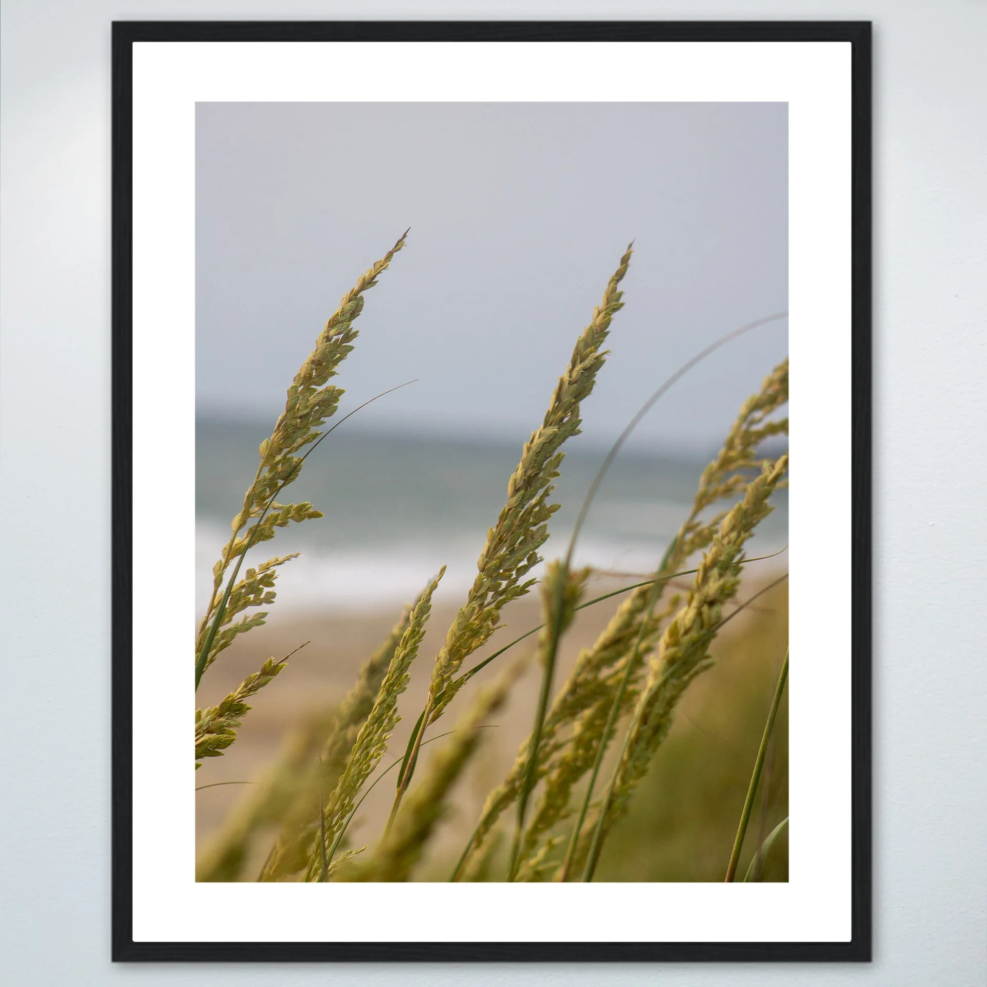 1:1 Rodanthe Dune Oats Group- Wood w: Border.jpg