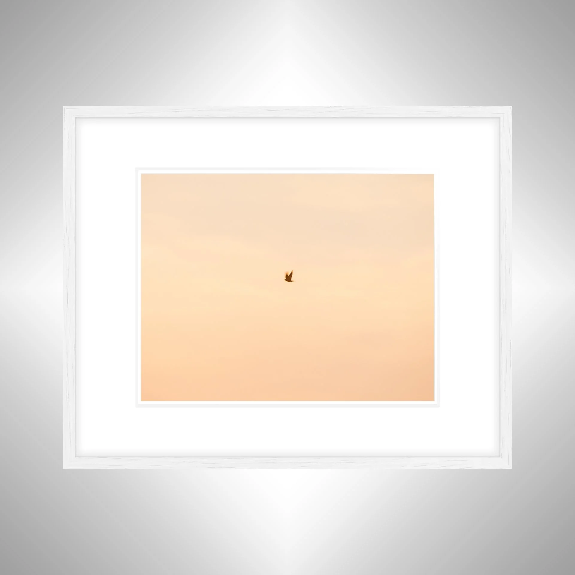 1:1 Slow Shutter Sunrise Seagull- White w: Border.jpg
