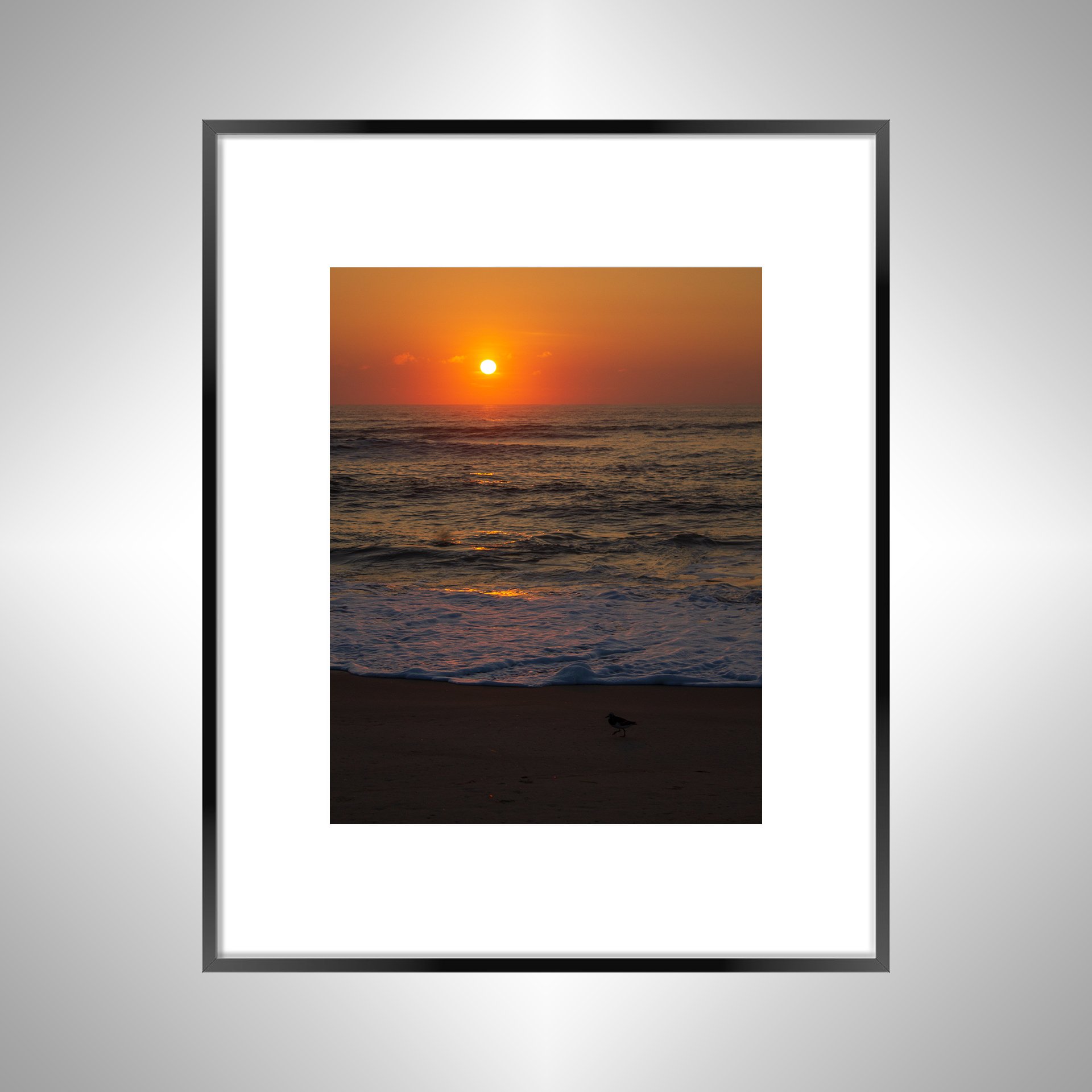 1:1 Sanderling at Sunrise- Black w: Border.jpg