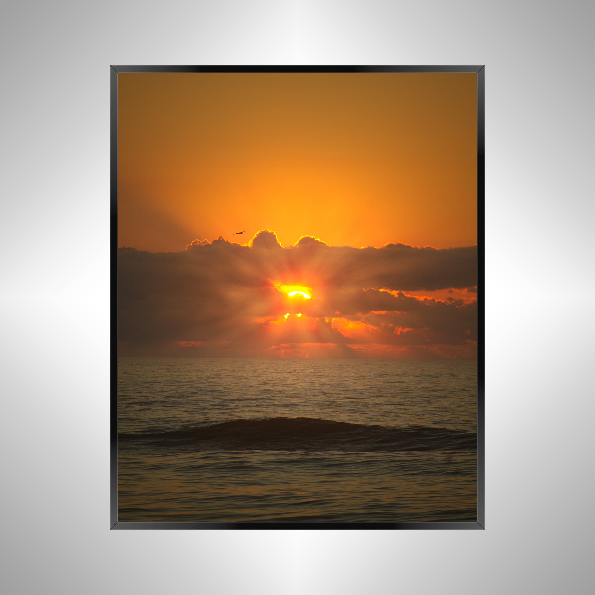 1/1 Sea + Gull Sunrise Flare