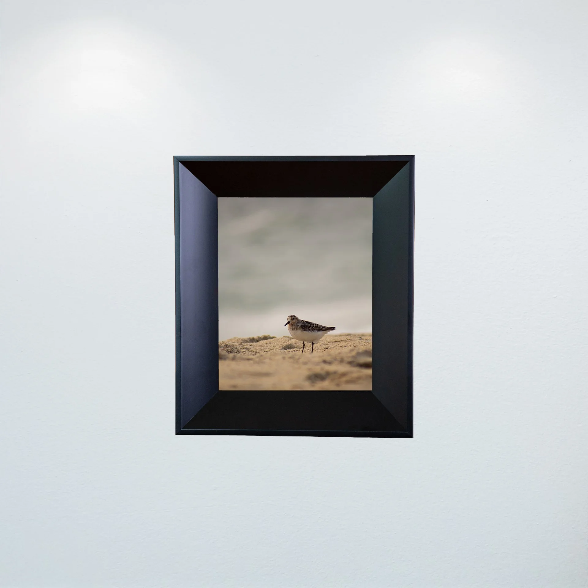 1:10 Sanderling Photoshoot in Rodanthe- Mini.jpg