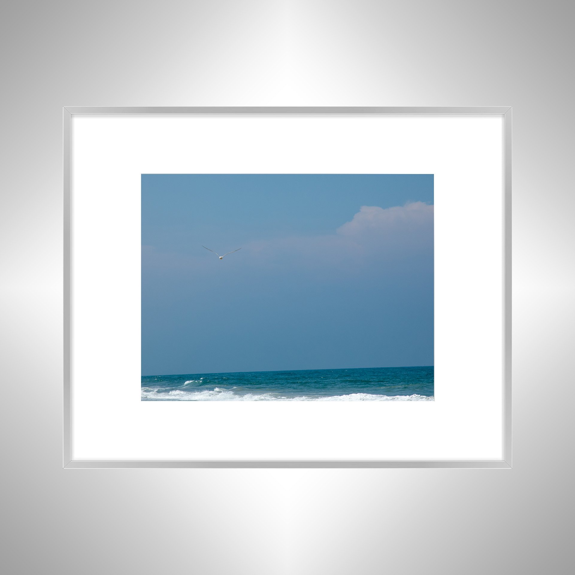 1:10 Seagull in Carova- Silver w: Border.jpg