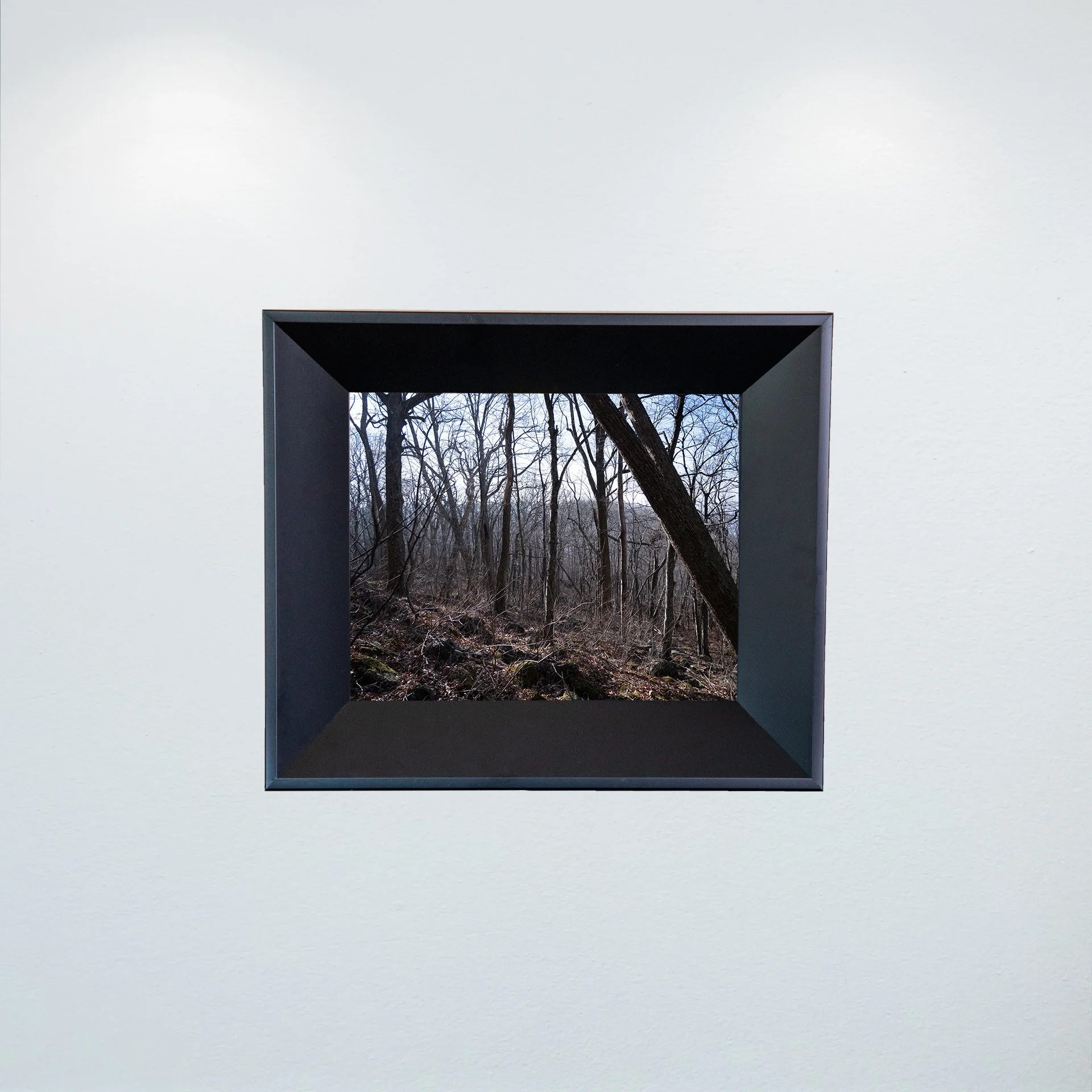 1:1 Shenandoah Trees- Mini.jpg