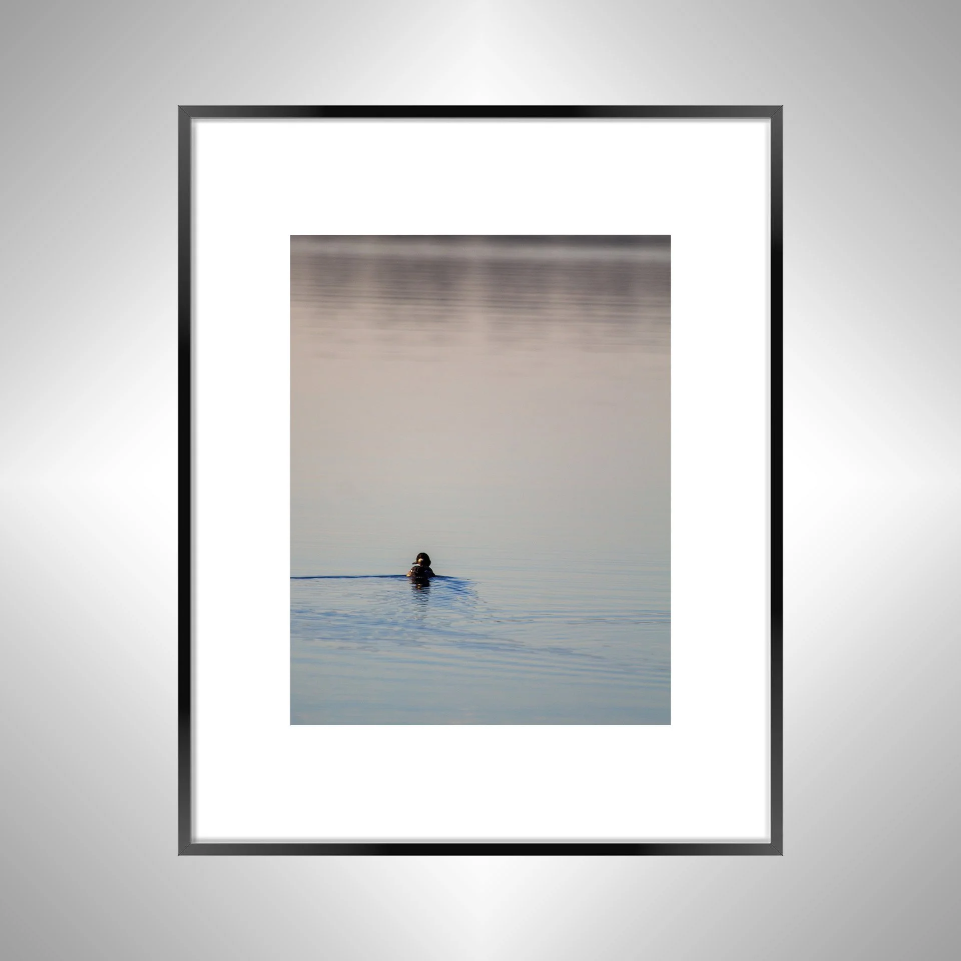 1:10 Bufflehead on Lafayette- Black w: Border.jpg