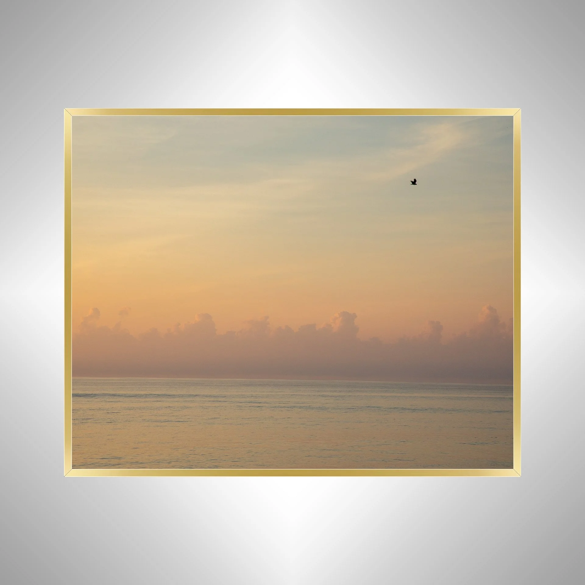 1:1 Clouds on the Horizon with Seagull- Gold Frame.jpg
