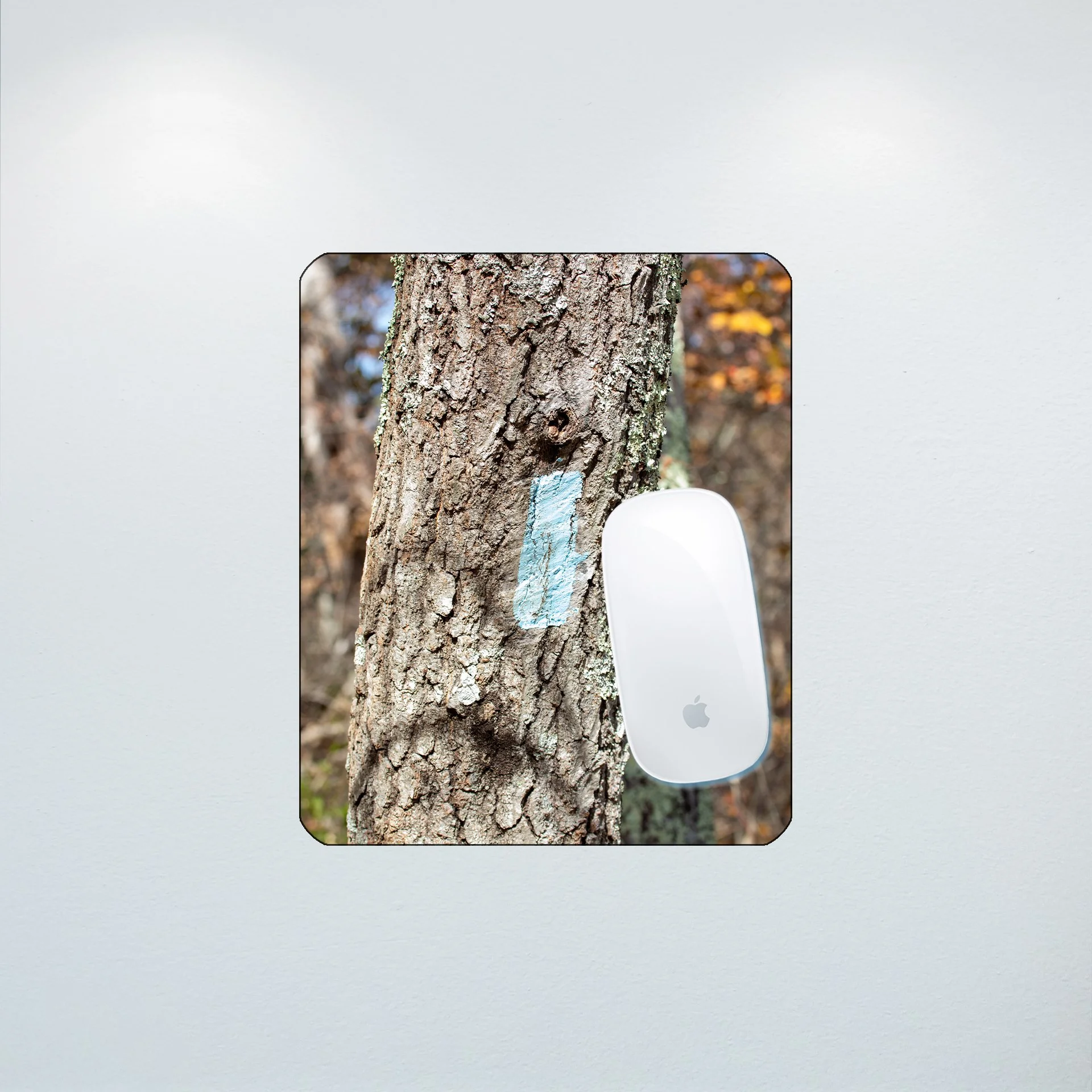 1:10 Appalachian Trail Blaze- Mouse Pad.jpg
