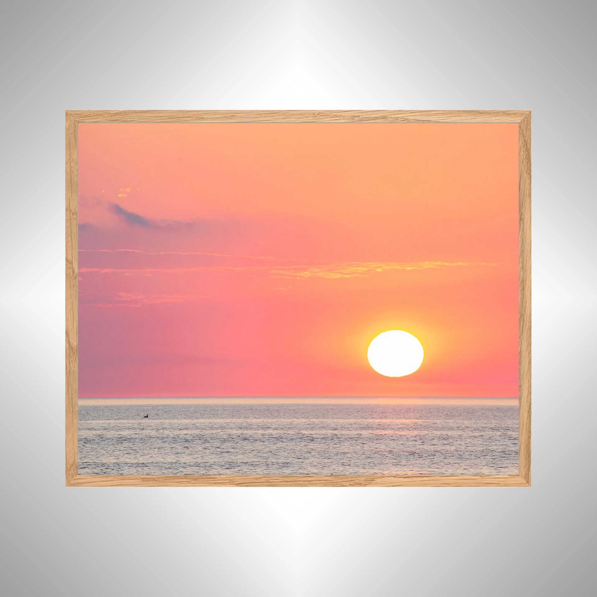1:1 Pelican Watching Sunrise (Landscape)- White copy NATTY.jpg