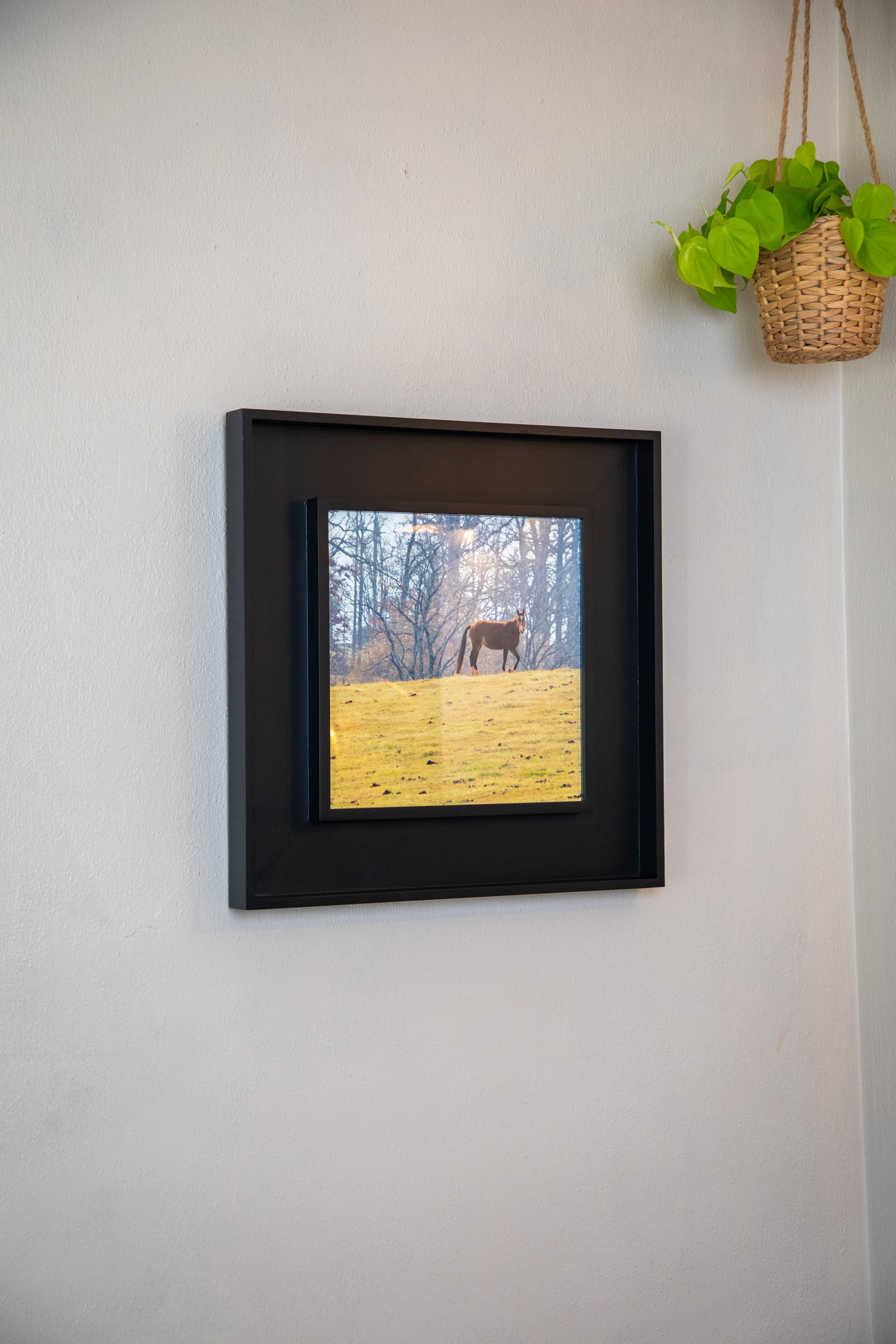 On Hand- 1:10 Shenandoah Horse in Window Wood Frame5.jpg