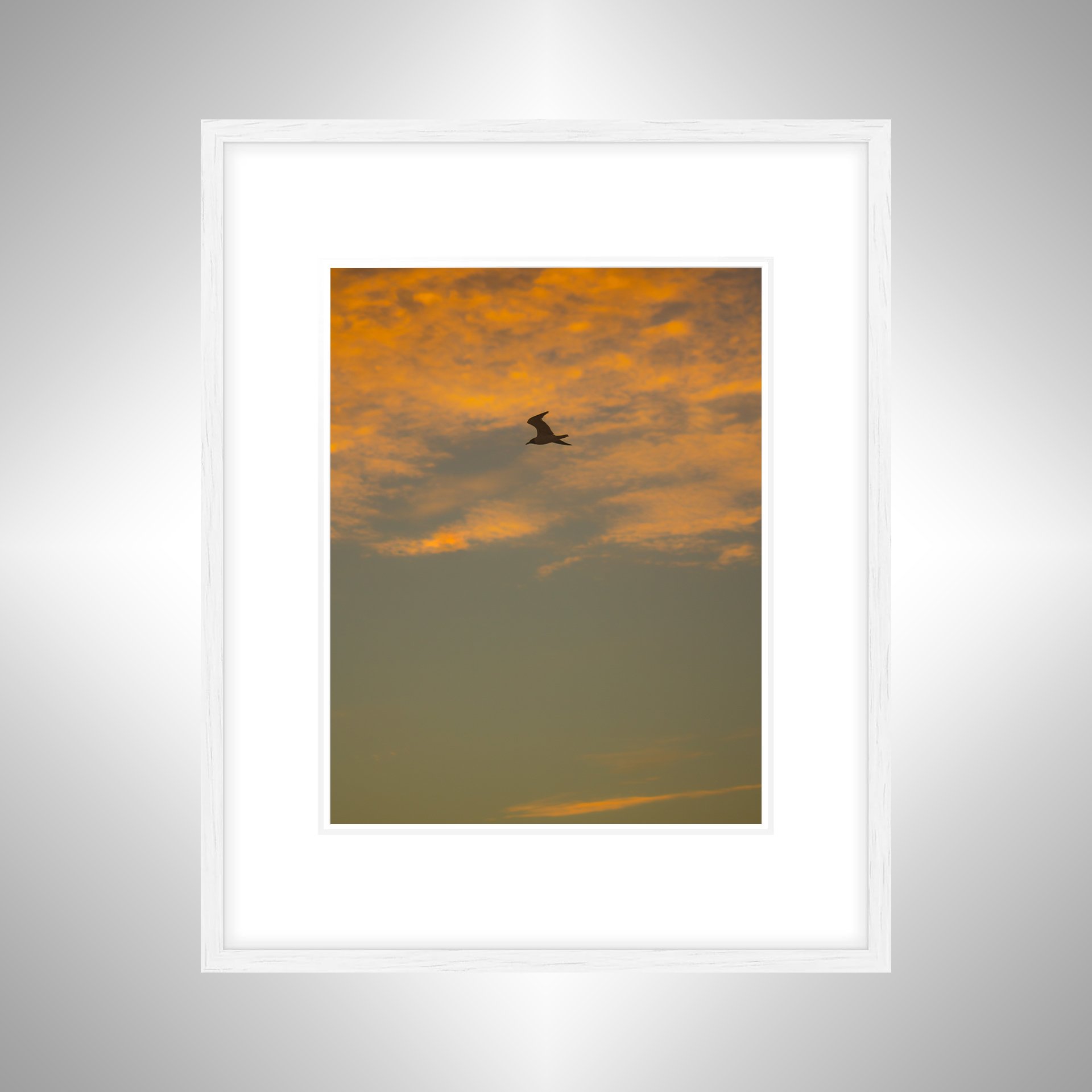 1:1 Seagull Flying with Orange Clouds- White w: Border.jpg