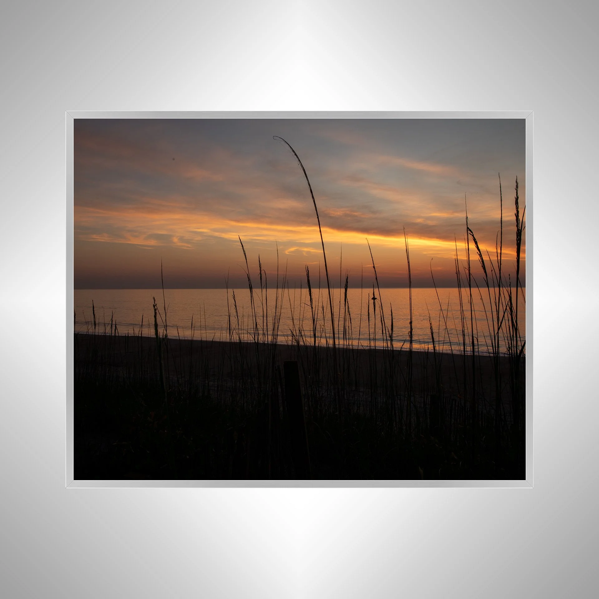 1:1 Sunrise behind Dunegrass Silver.jpg