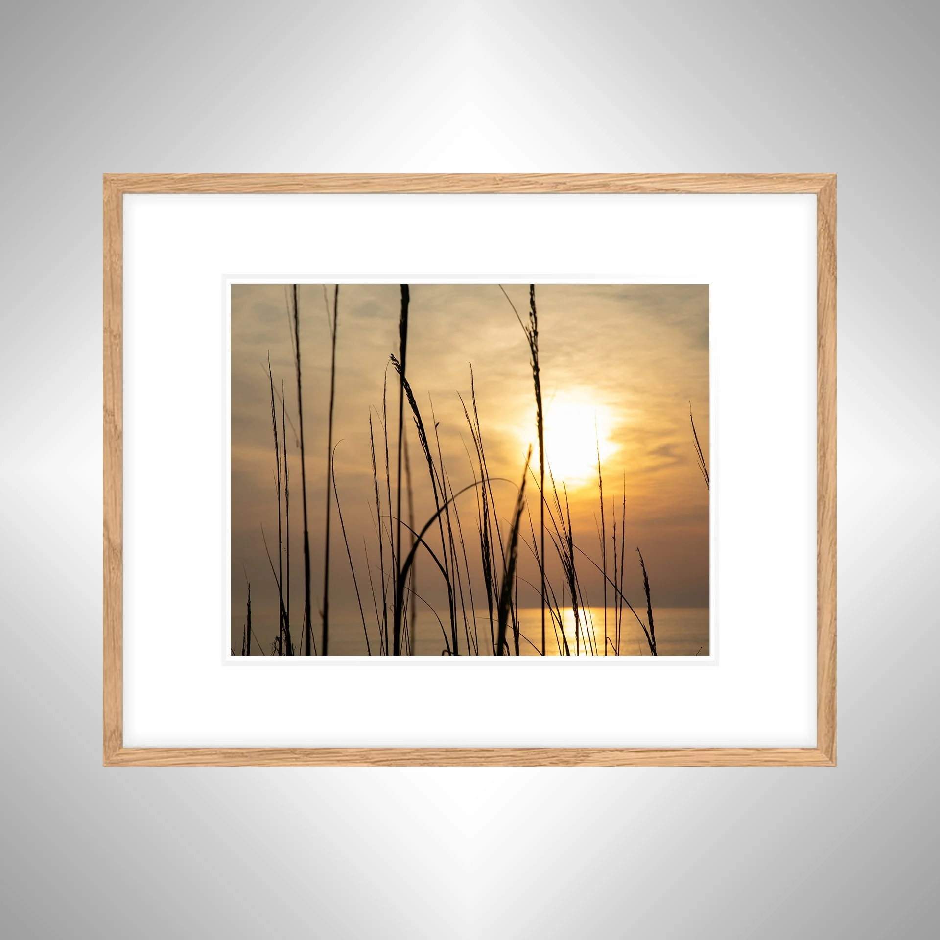1:1 Sunny Morning thru Dunegrass- White w: Border copy NATTY.jpg