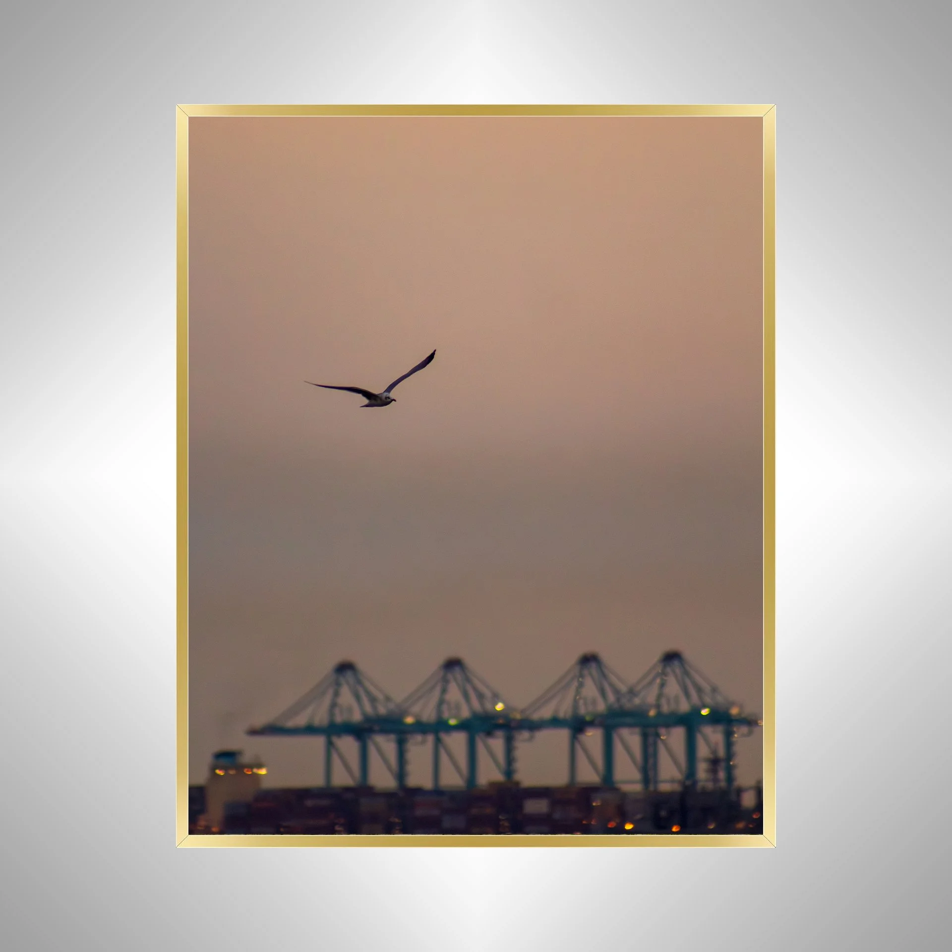 1:1 Seagull with Terminal Cranes- Gold.jpg