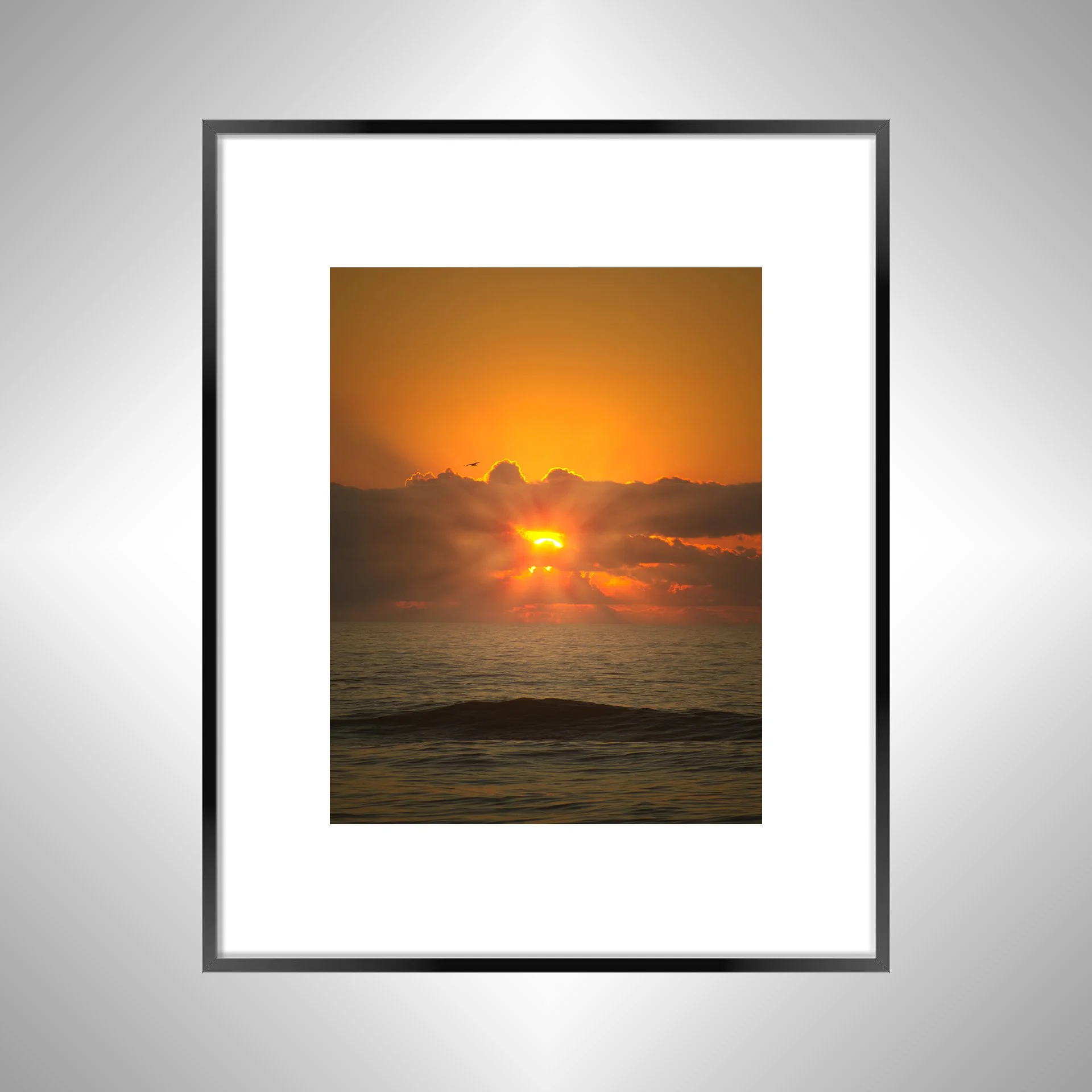 1:1 Sea + Gull Sunrise Flare- Black w: Border.jpg
