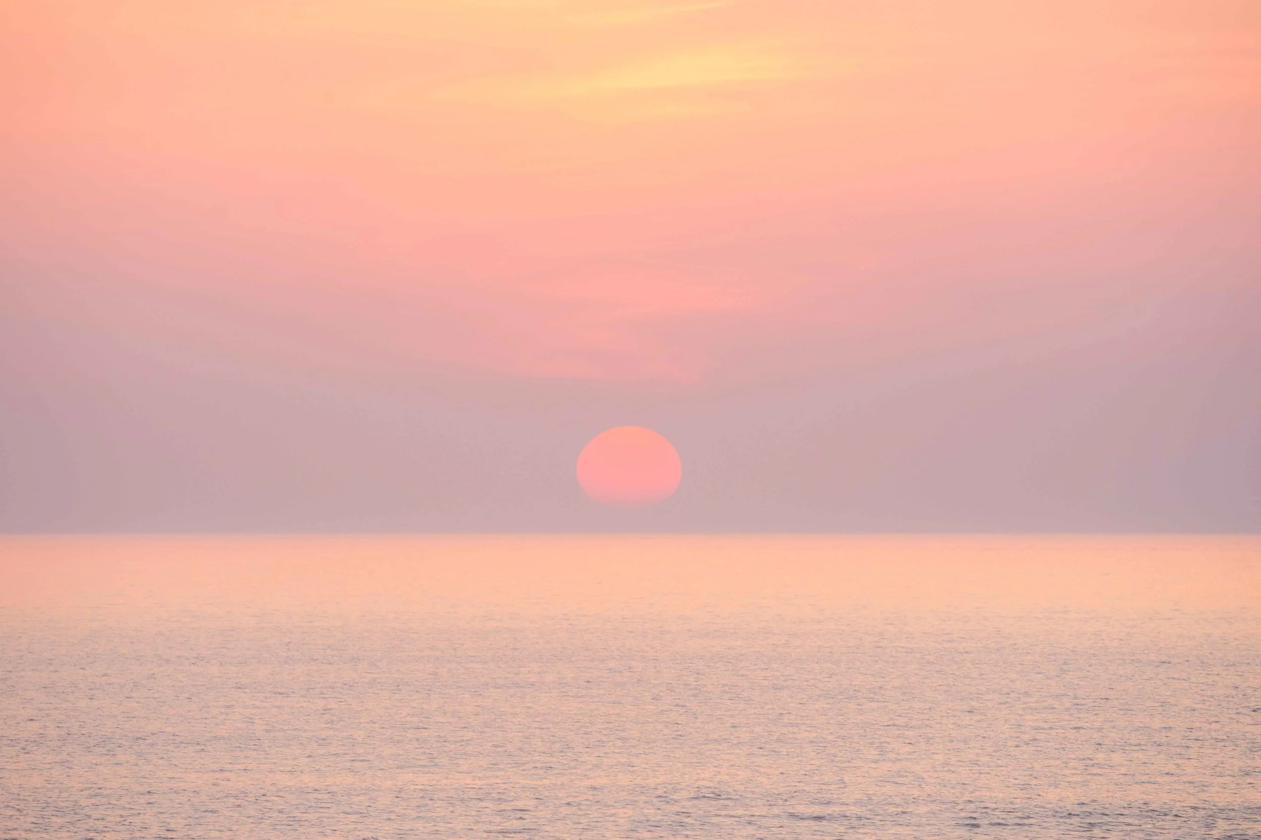 1:1 Pink Sun.jpg