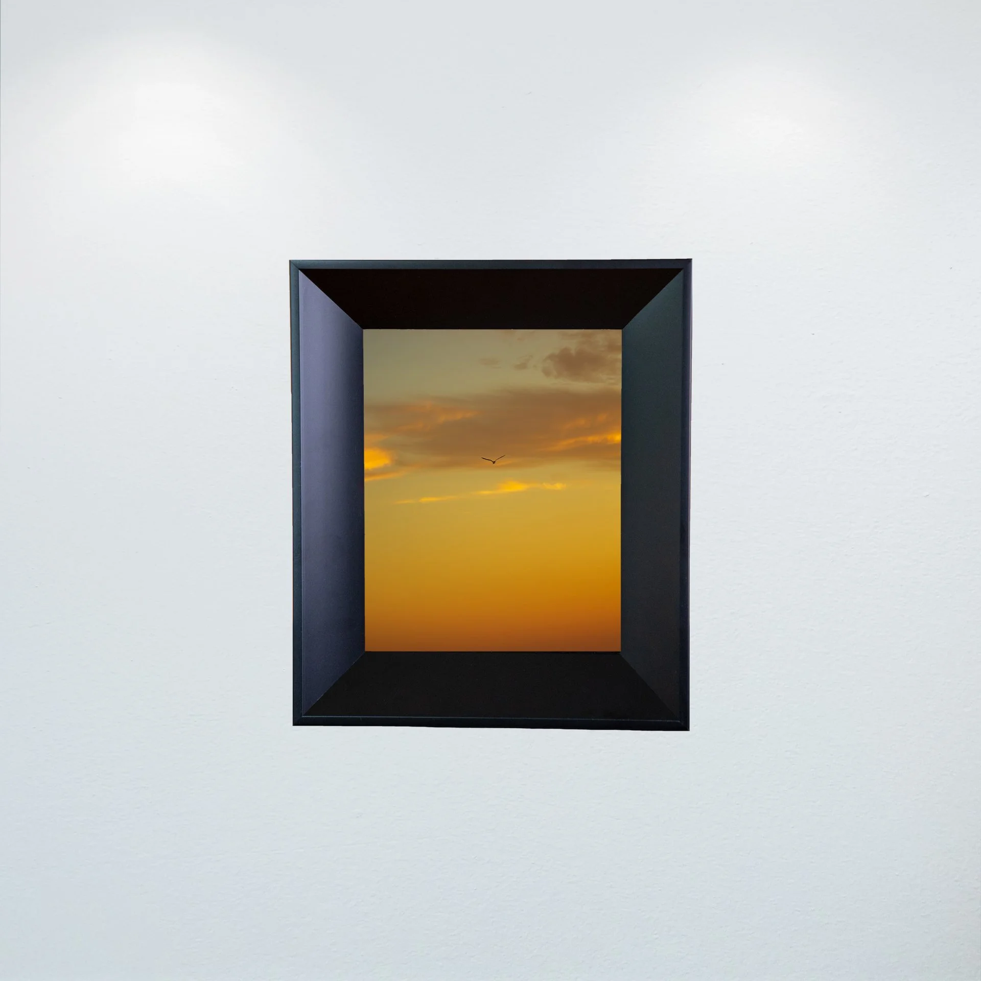 1:1 Seagull Soaring towards Clouds & Sunrise Gradient- Mini.jpg