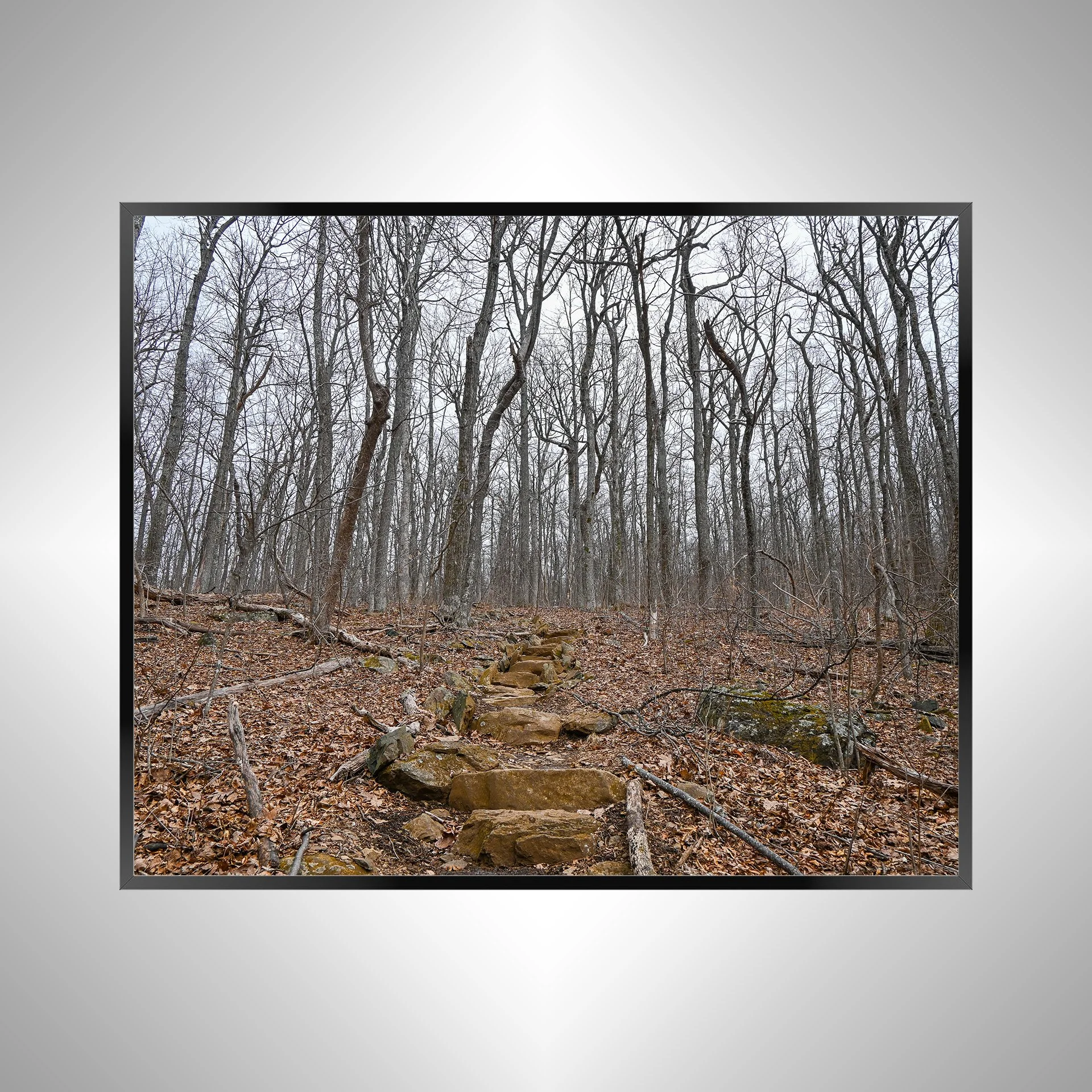 1/1 Nellysford Mountain Rock Staircase in Winter