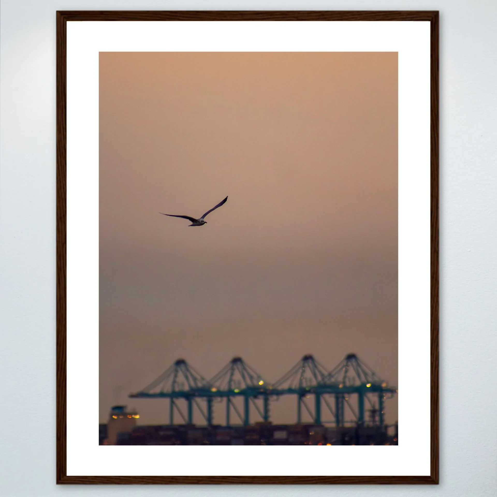 1:1 Seagull with Terminal Cranes- Wood w: Border.jpg