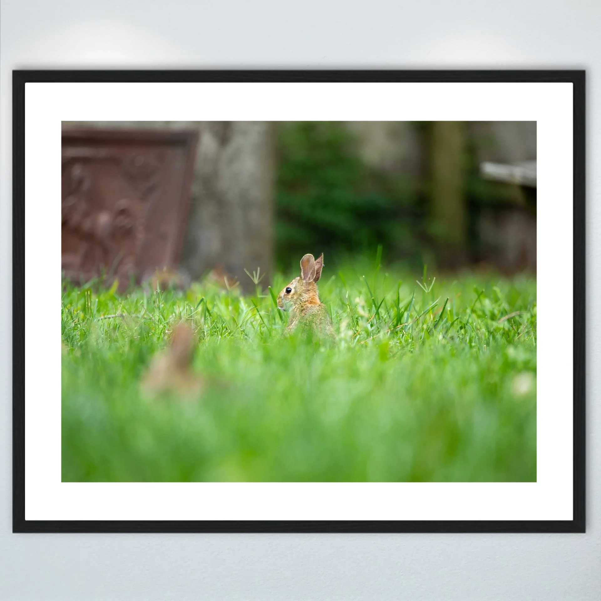 1:1 Standing Bunny- Wood w: Border.jpg