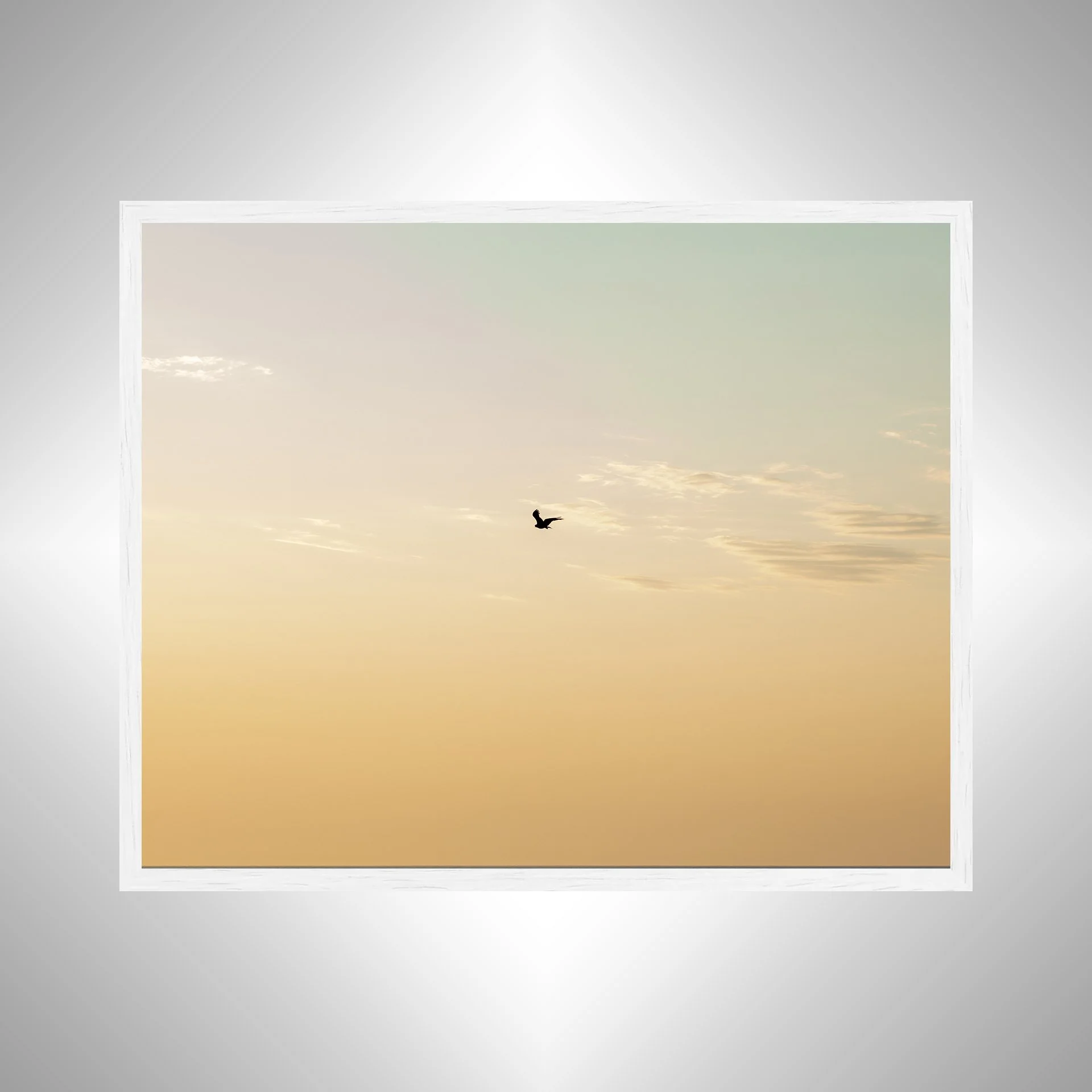 1:10 Golden Gull on Horizon- White.jpg