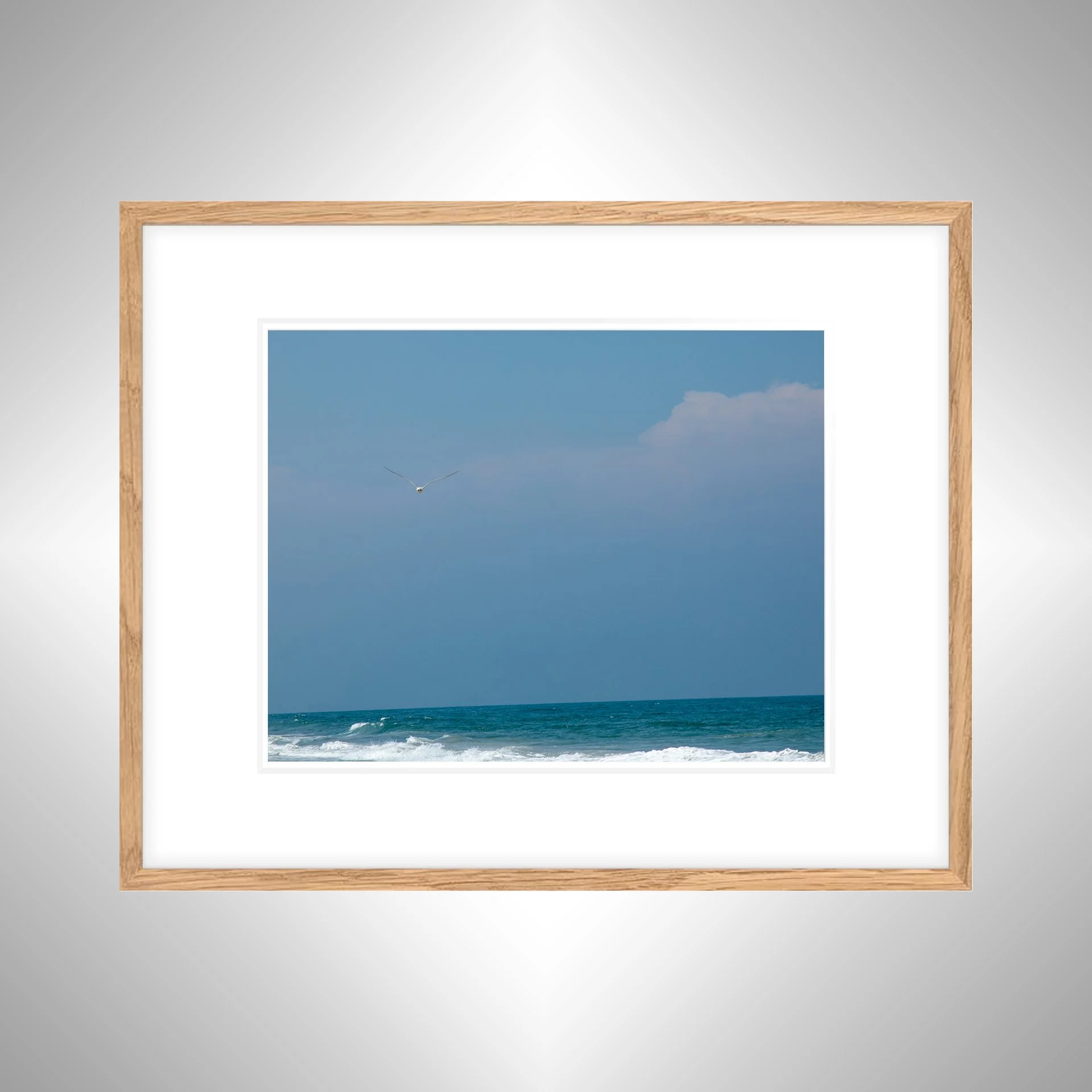 1:10 Seagull in Carova- White w: Border copy NATTY.jpg