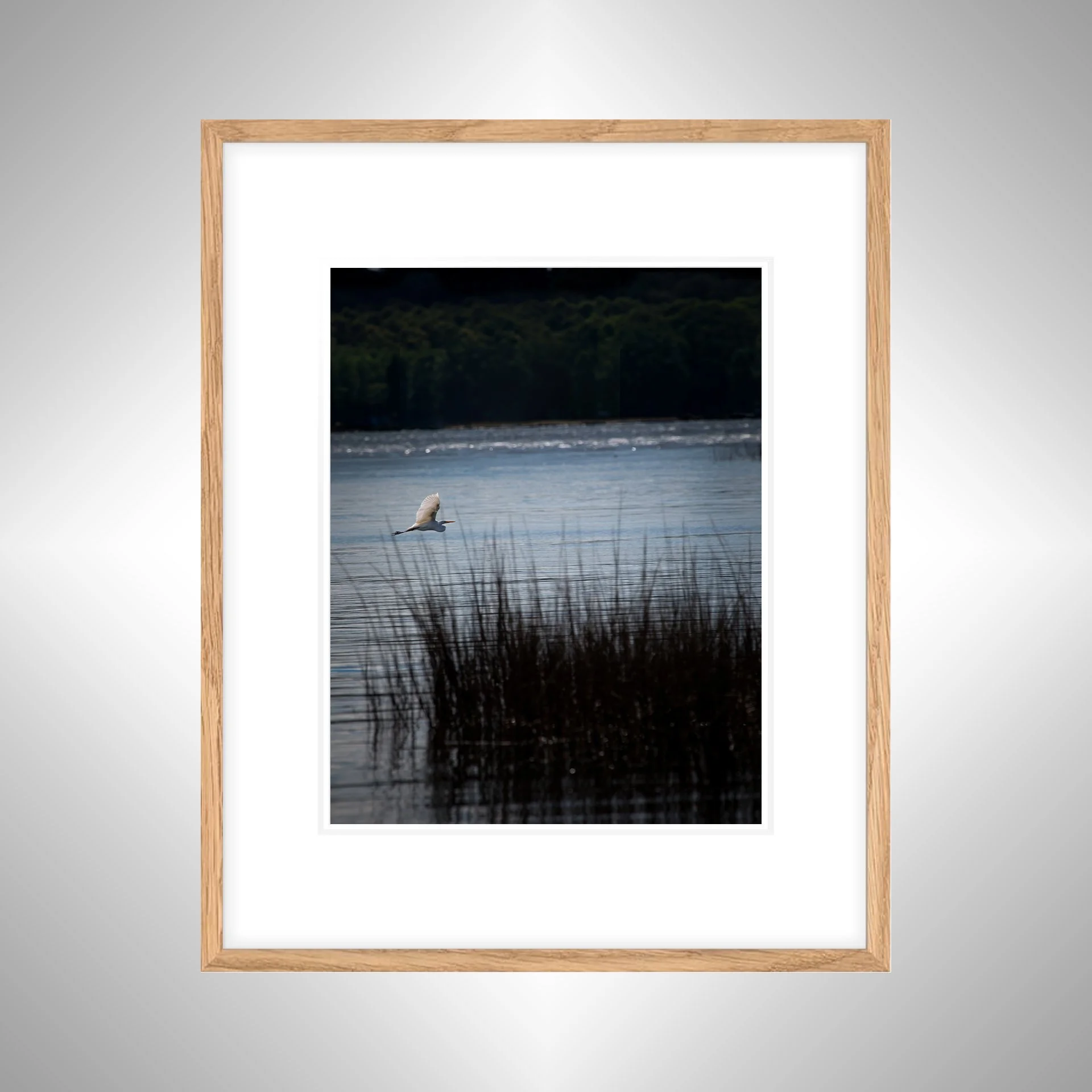 1:1 Egret Flying on Lafayette River- White Wood w: Border copy NATTY.jpg