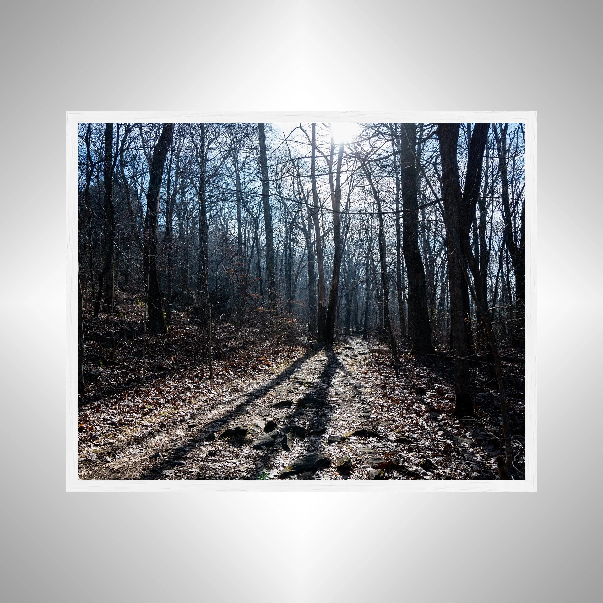 1:10 Shenandoah National Park Trail- W.jpg