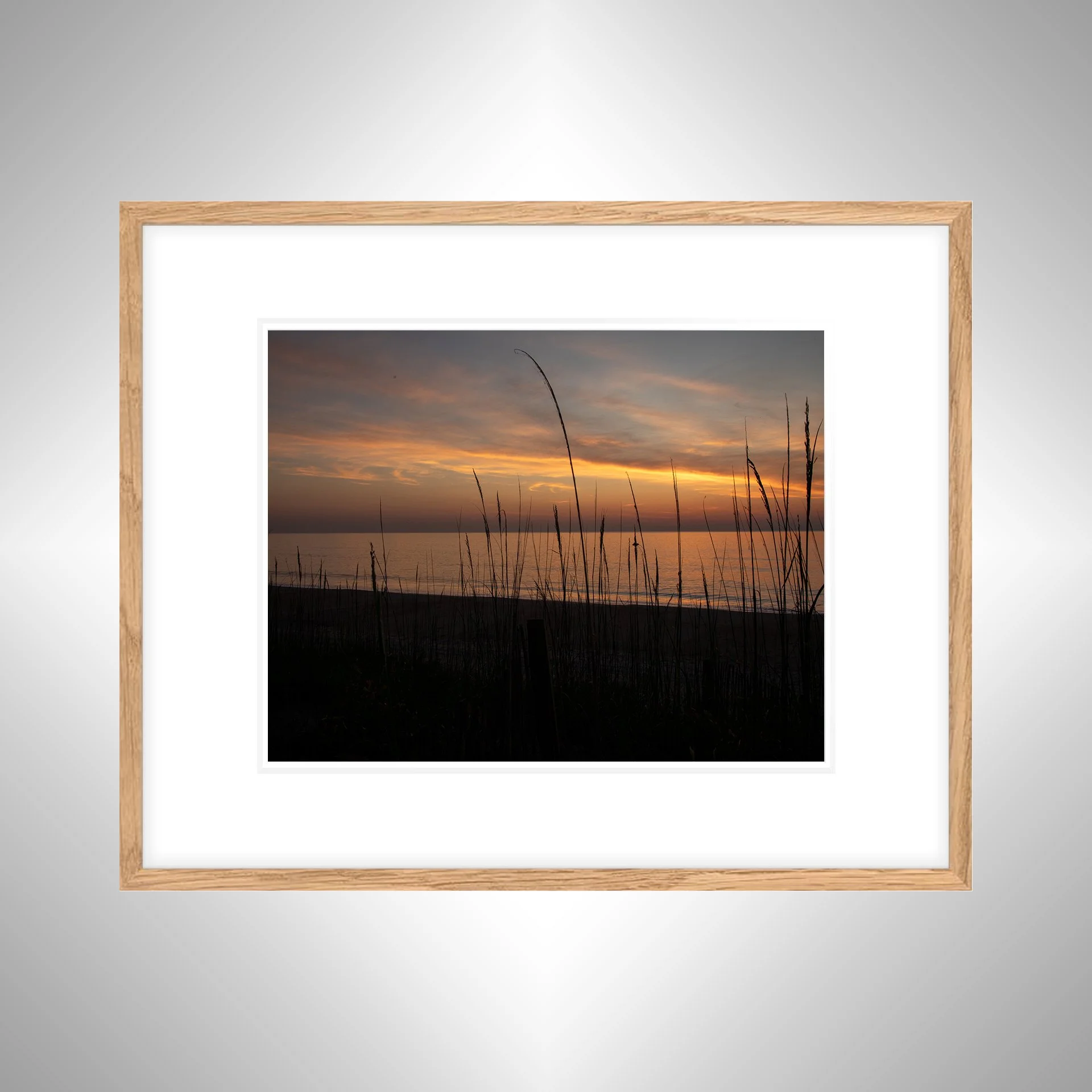 1:1 Sunrise behind Dunegrass- White w: Border copy NATTY.jpg
