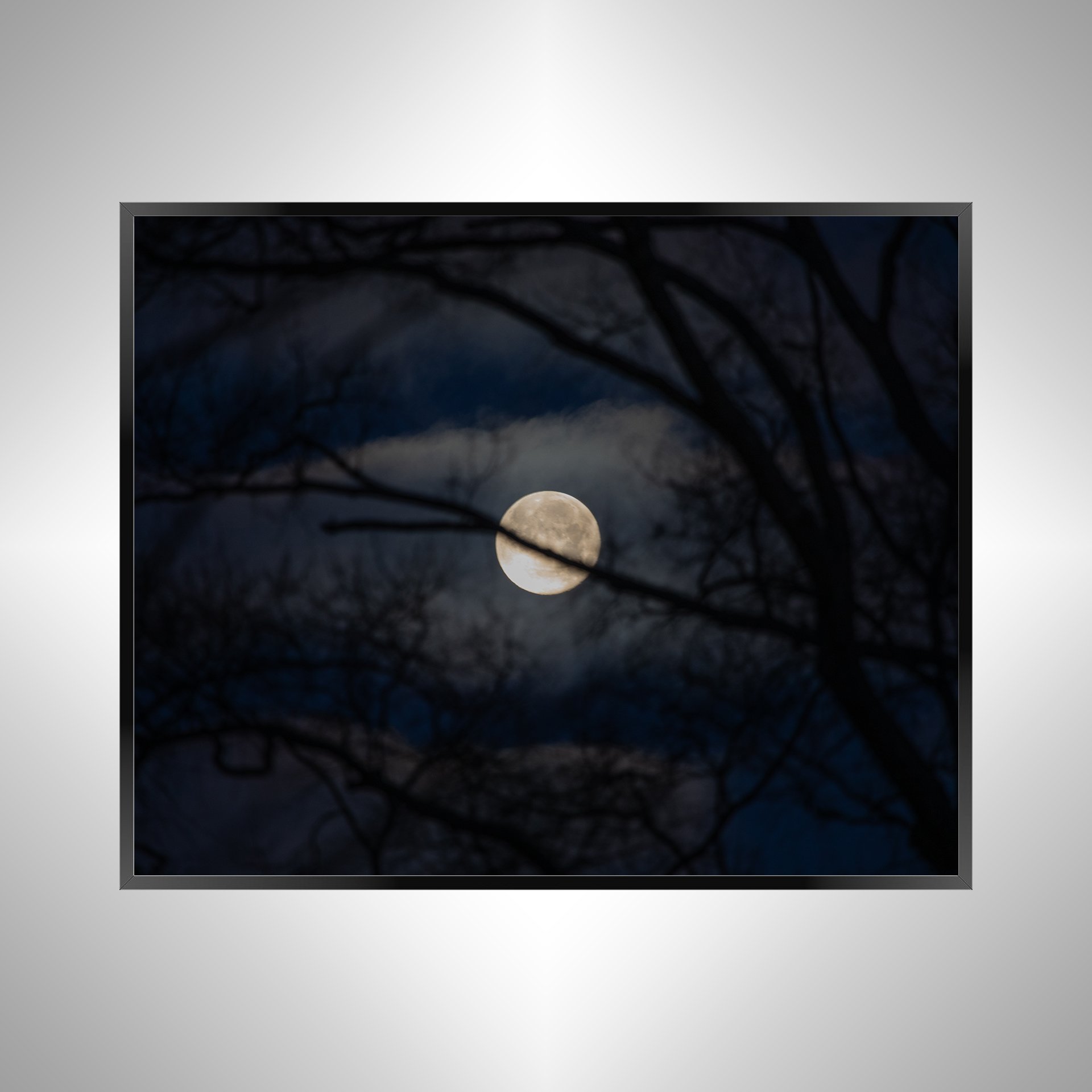 1/1 Moon thru Tree Branches