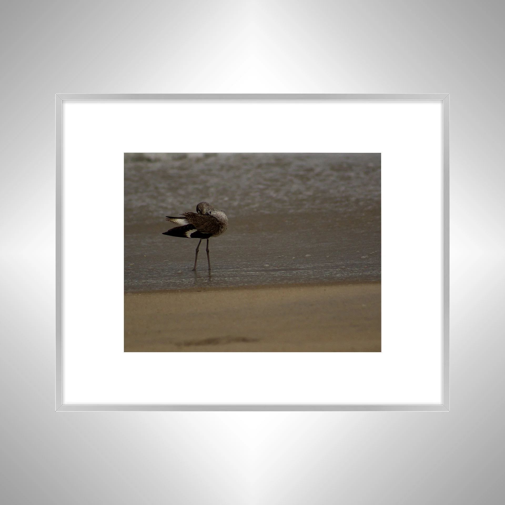 1:1 Willet Cleaning- Silver w: Border.jpg