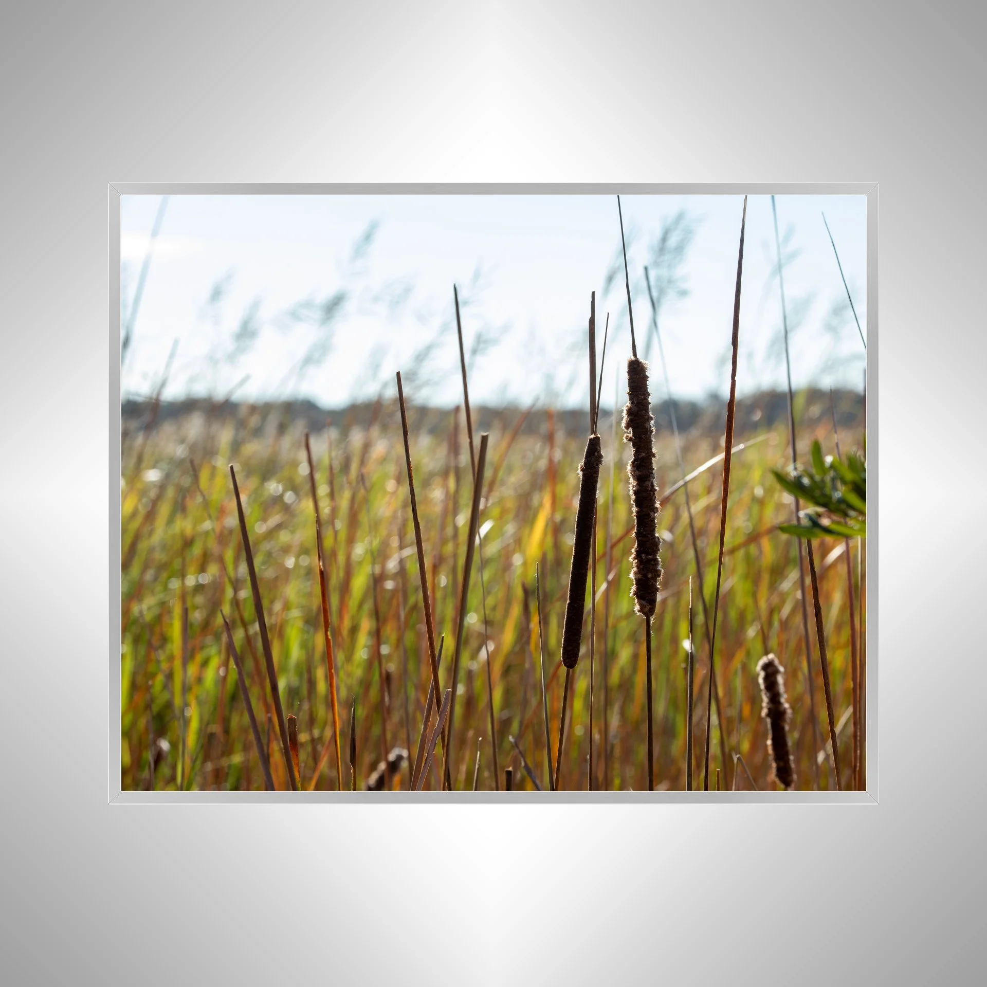 1:1 Back Bay Cattails- Silver Metal.jpg