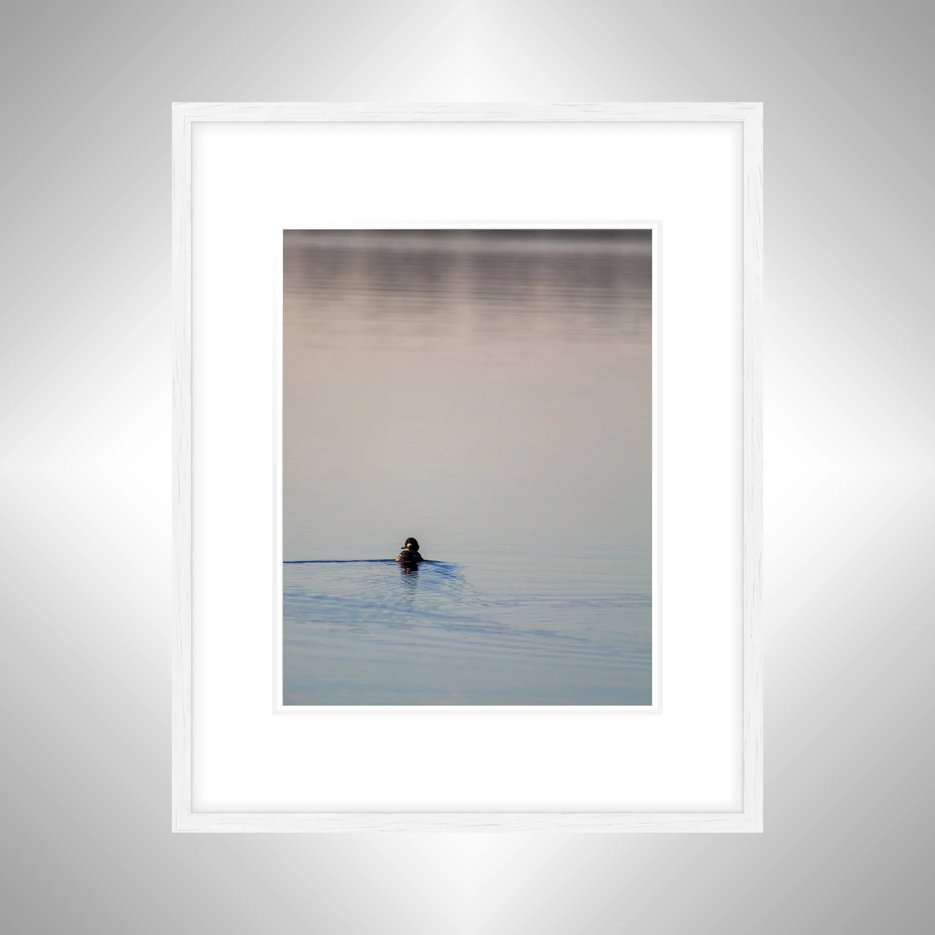 1:10 Bufflehead on Lafayette- White w: Border.jpg