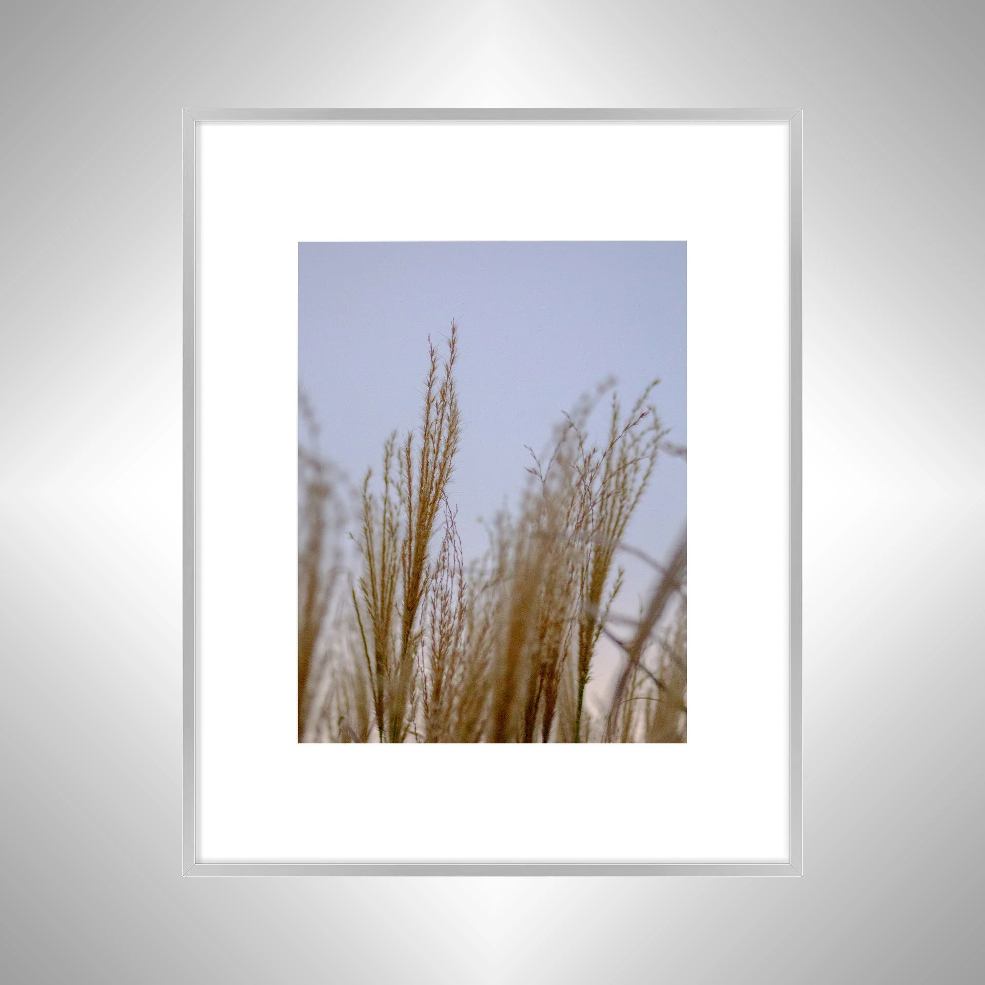 1:1 Lafayette River Oats- Silver Metal w: Border.jpg